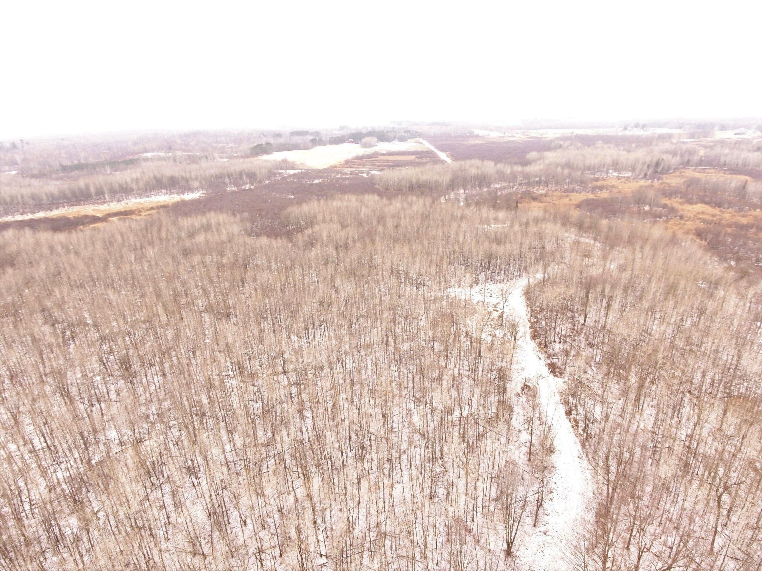 401.7 Acres, Highway 64, LotWP001, Withee, WI 54498 Land and Farm