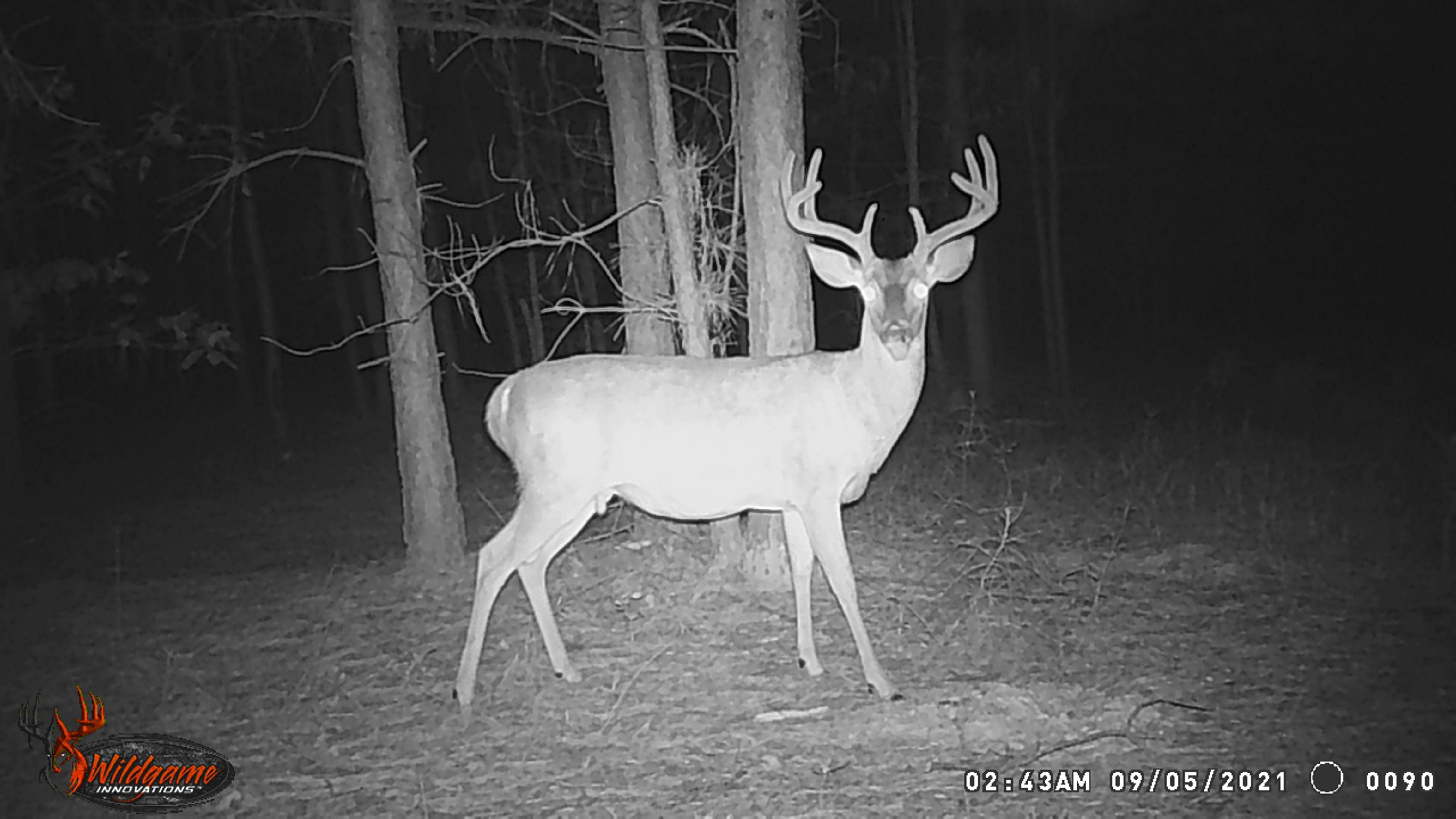 15.9 Acres, FM 2735, De Kalb, TX 75559 Land and Farm