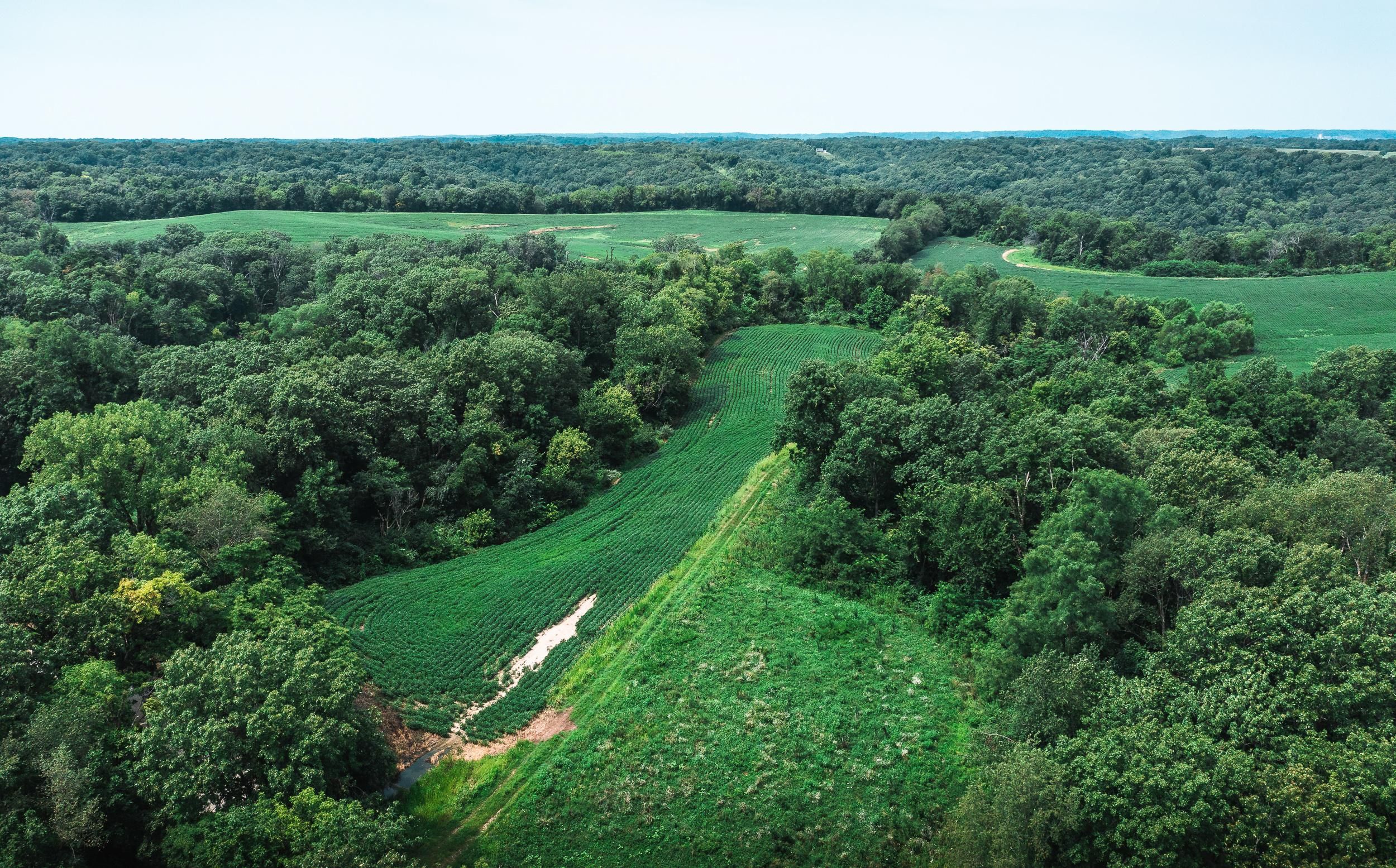 Beaver Lake Rd, Fieldon, IL 62031 MLS 21058548 Land and Farm