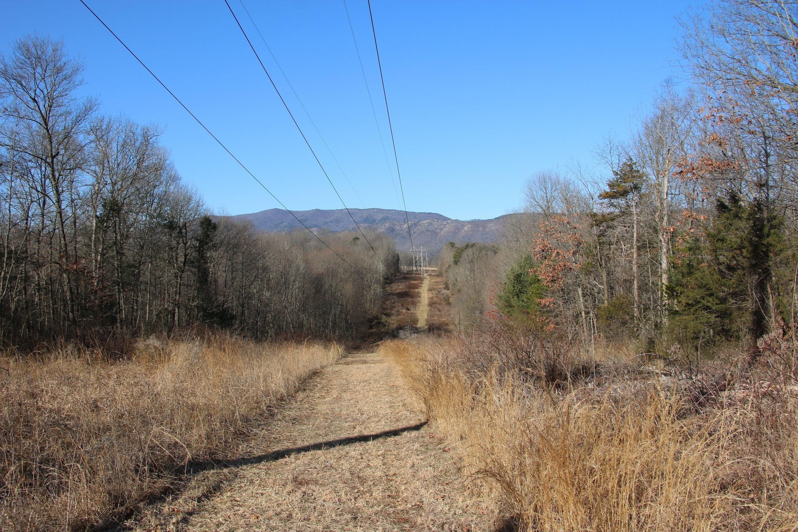 34.59 Acres, Grove Hill River Road, LOTWP001, Shenandoah, VA 22849 Land and Farm