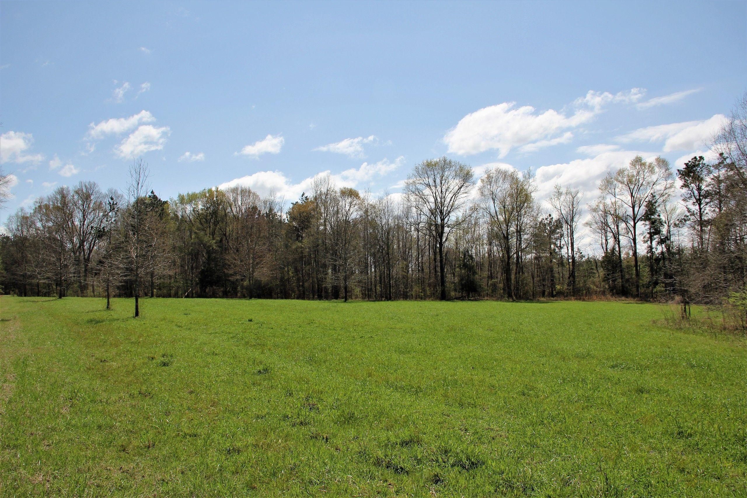 21670 MS 28, LotWP01, Union Church, MS 39668 Land and Farm