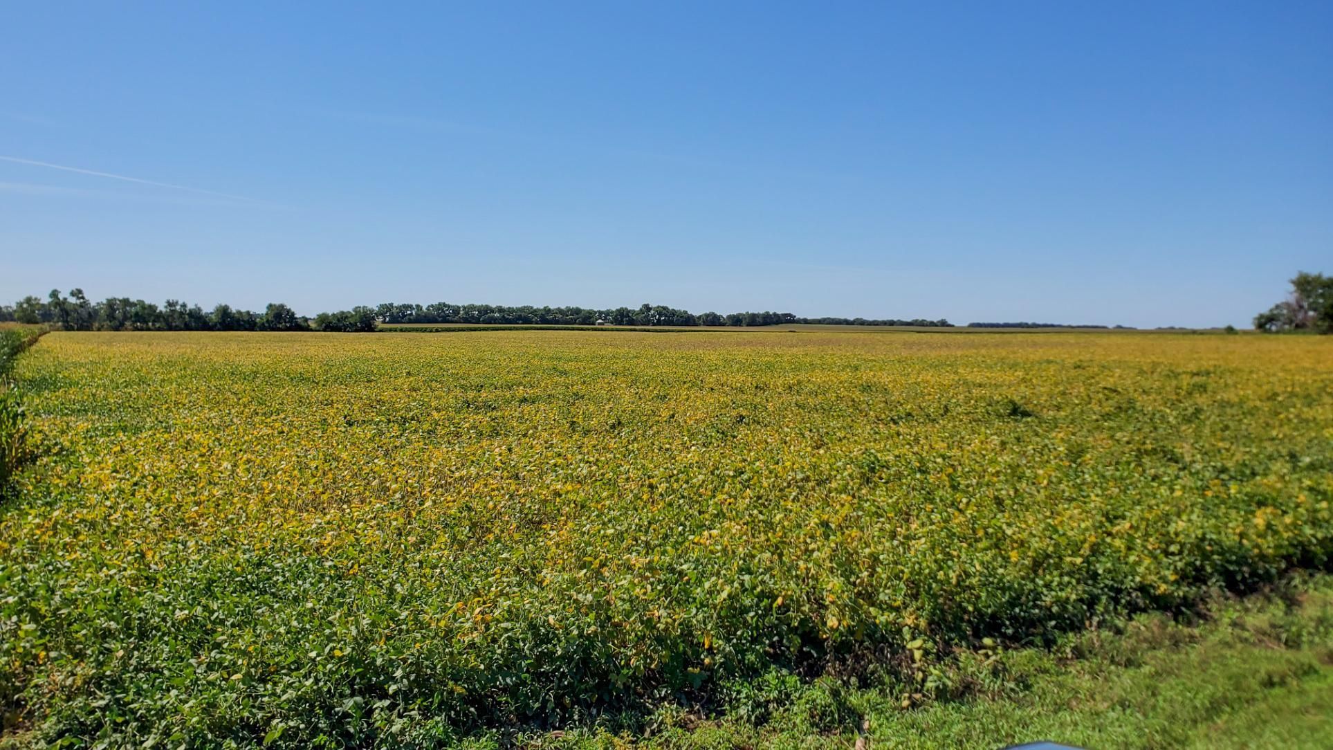 80 Acres, 53832 861st Rd., Plainview, NE 68769 Land and Farm