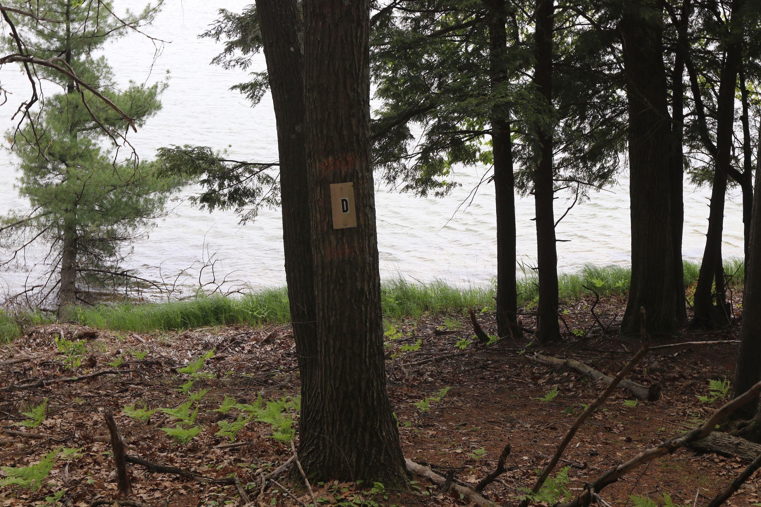 Lake of the Woods Road, Lot WP005, Bellaire, MI 49615 Land and Farm