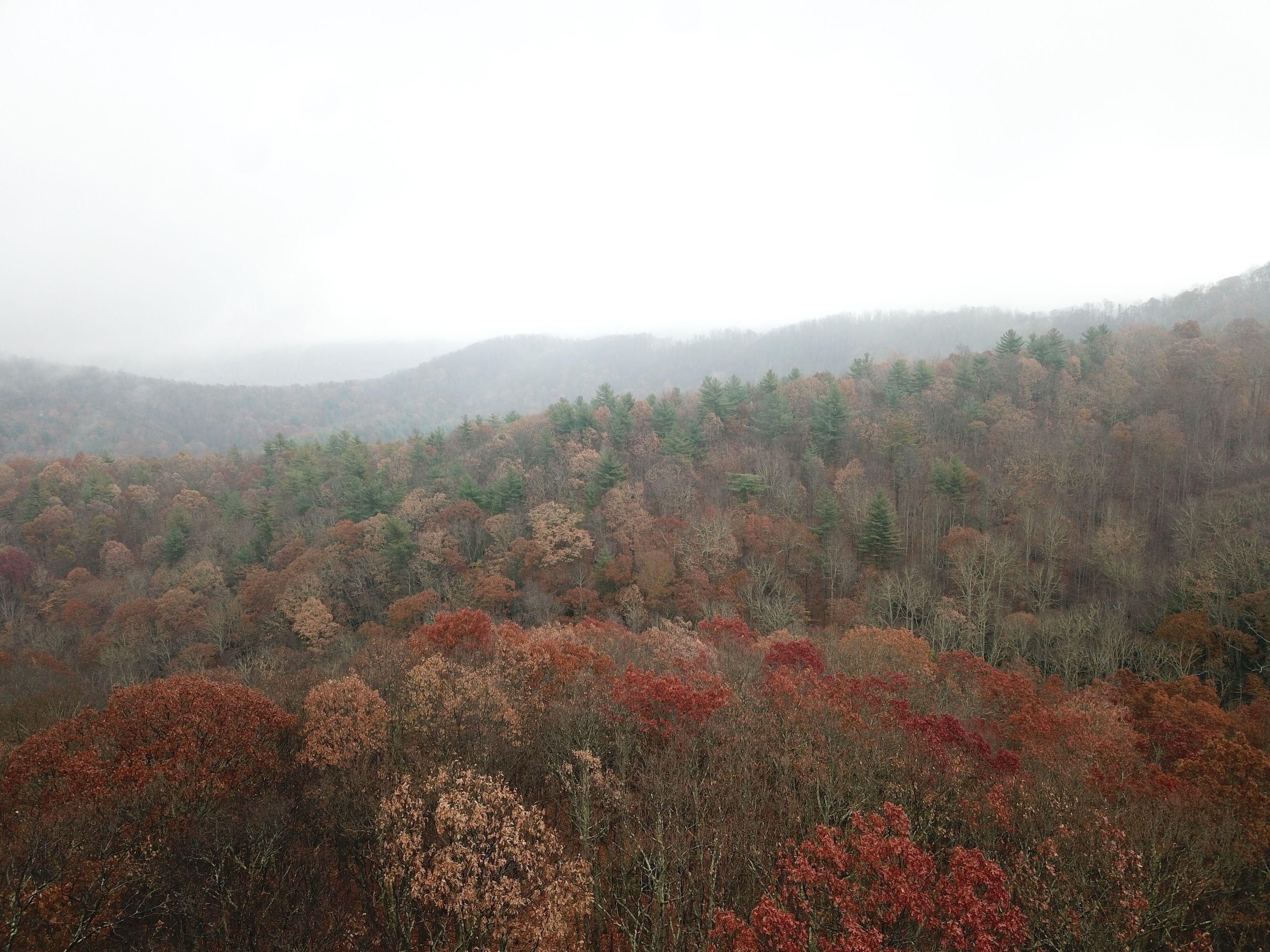 93 Acres, Mundy Cove Road, LotWP01, Weaverville, NC 28787 Land and Farm