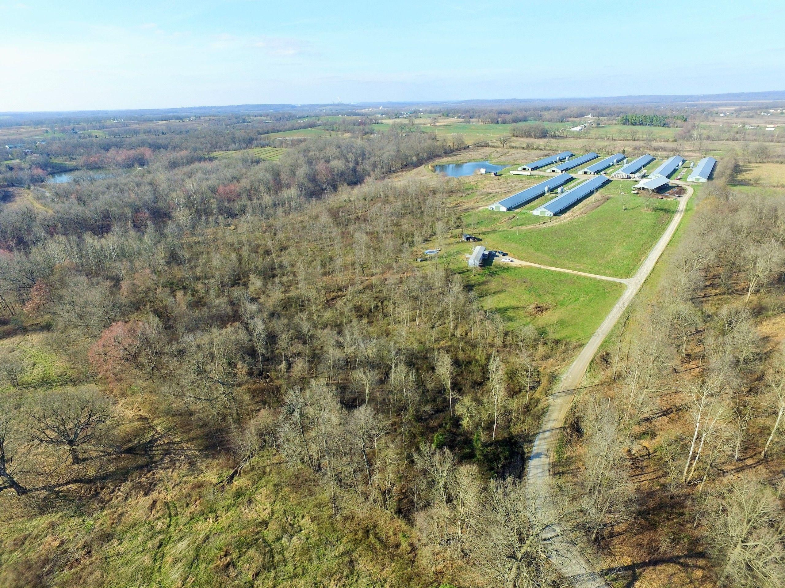 50 Acres, 1305 State Route 147, Slaughters, KY 42456 Land and Farm