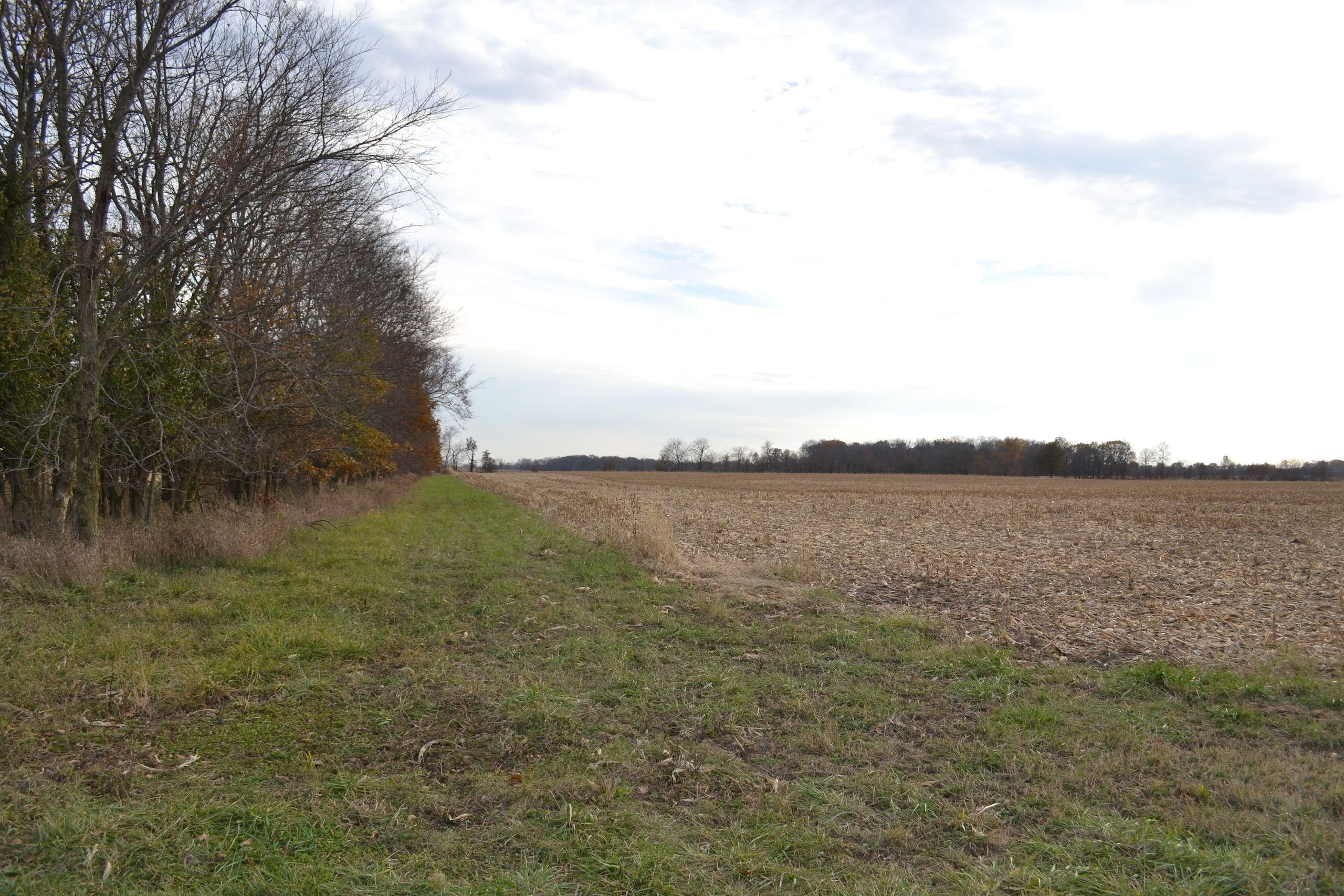 140 Acres, E 150th Road N, Ashmore, IL 61912 Land and Farm