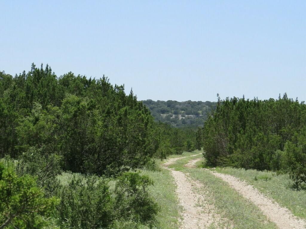 73.86 Acres, Loma Alta, TX 78840 Land and Farm