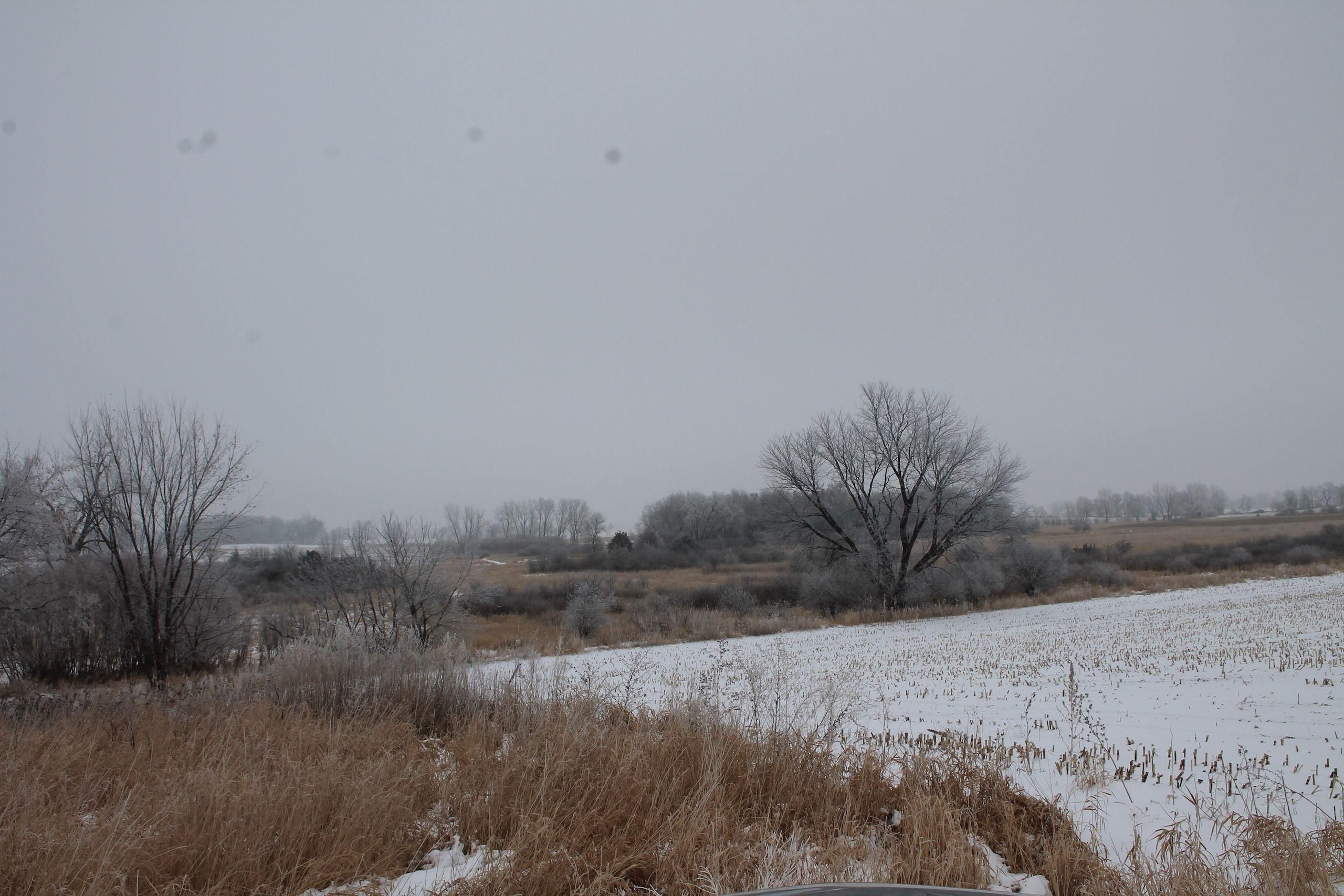 40 Acres, County Road S, LotWP001, Markesan, WI 53946 Land and Farm