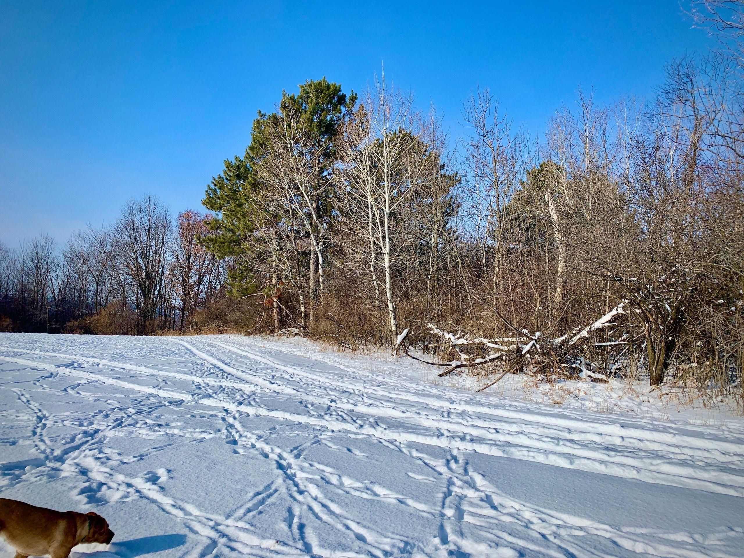 160th Ave, LotWP001, Mora, MN 55051 Land and Farm