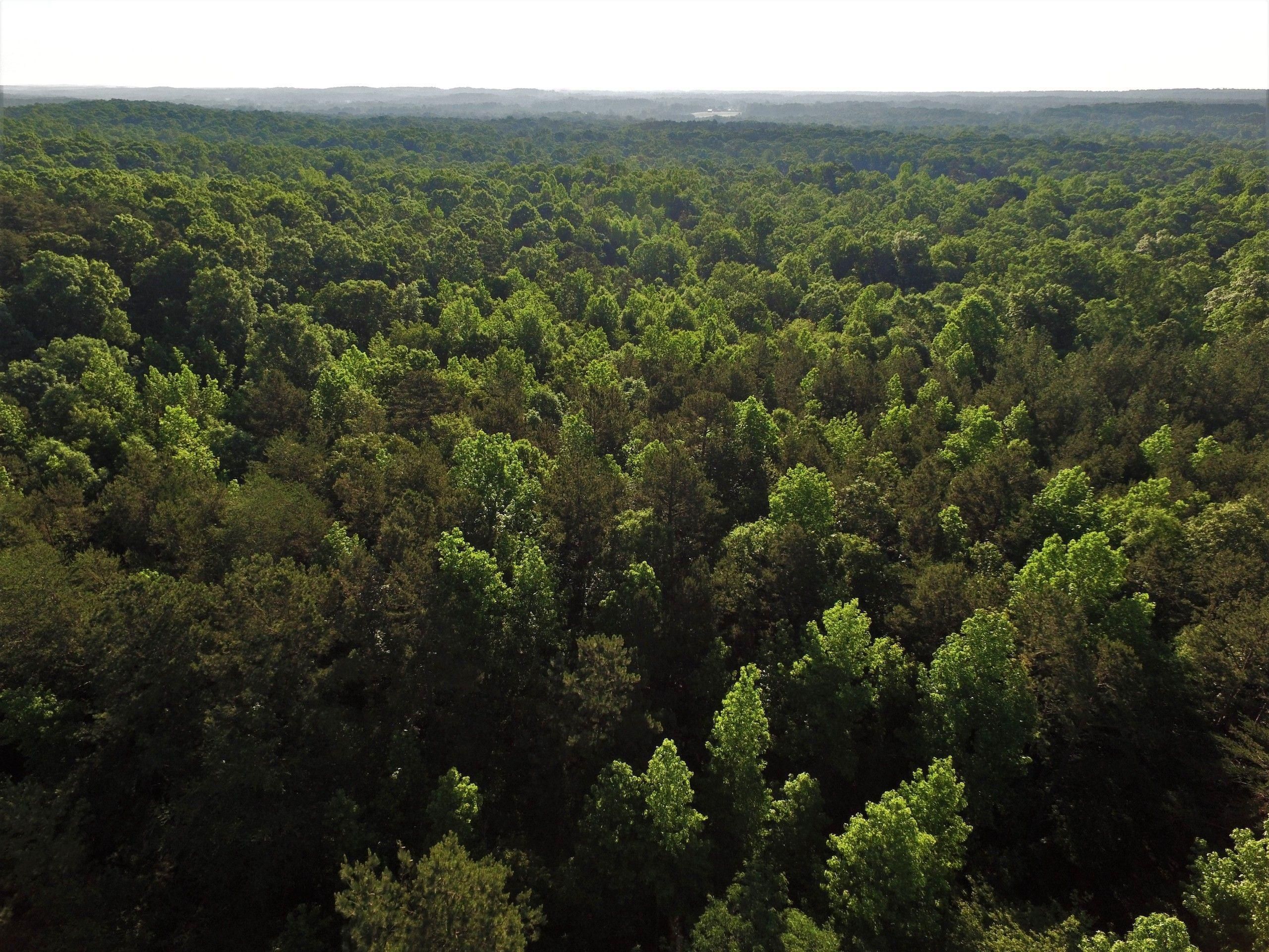 51 Acres, 8399 Mount Pleasant Road, LotWP02, Midland, NC 28107 Land