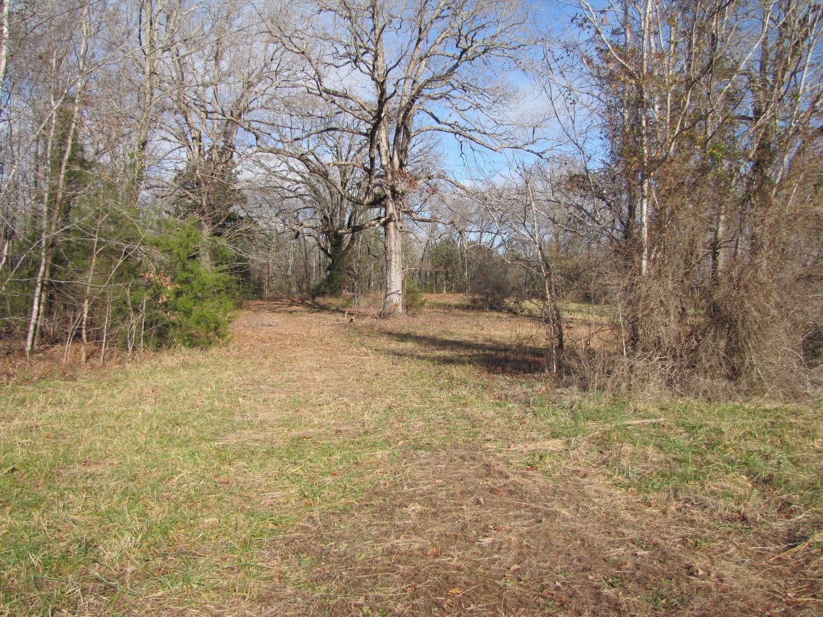 37.5 Acres, 3887 Blanch Road, Blanch, NC 27212 Land and Farm