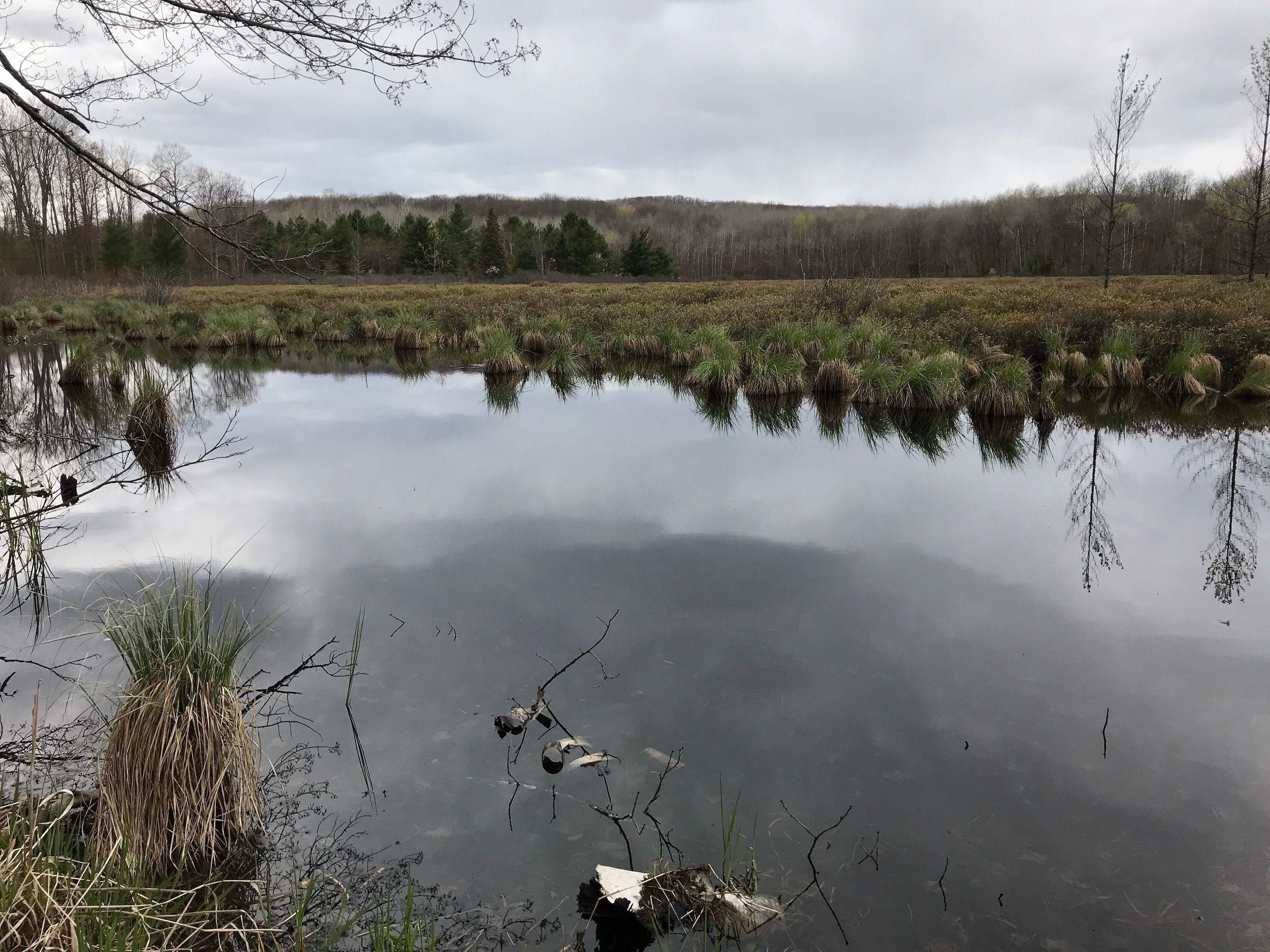 320 Acres, VL Lakeside Trail, Lot WP0001, Barton City, MI 48705 Land