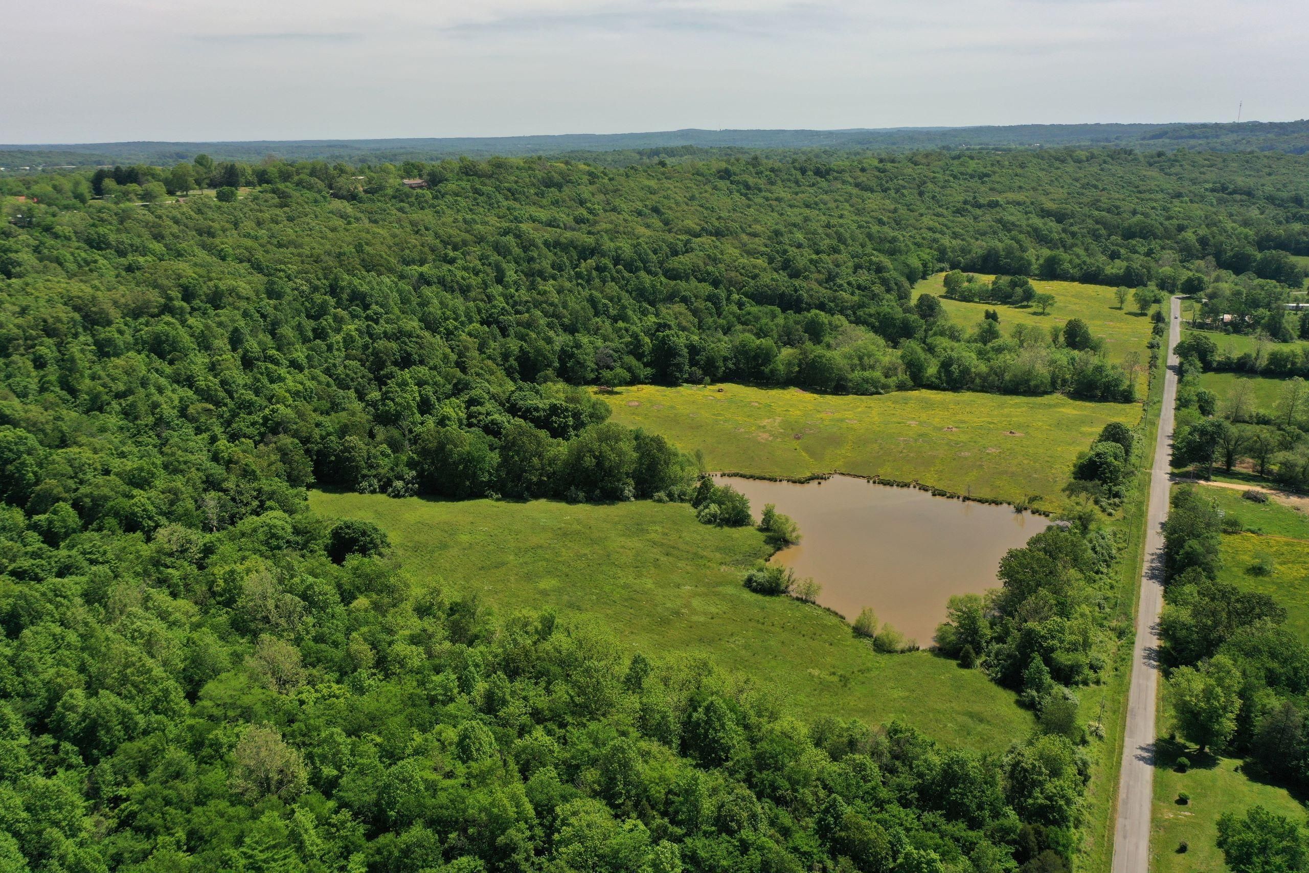 67 Acres, Aldridge Road, Cobden, IL 62920 Land and Farm