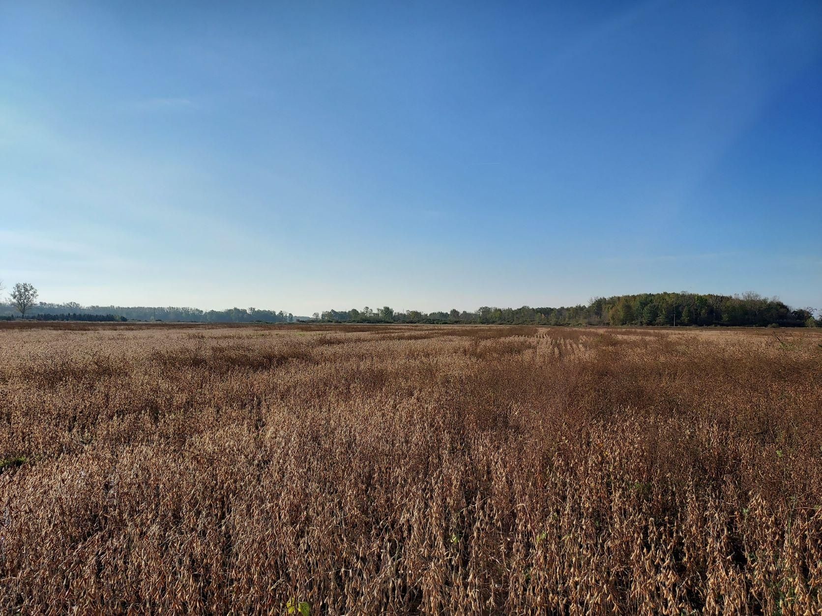 14549 Bryce Rd, Capac, MI 48014 MLS 649210026 Land and Farm