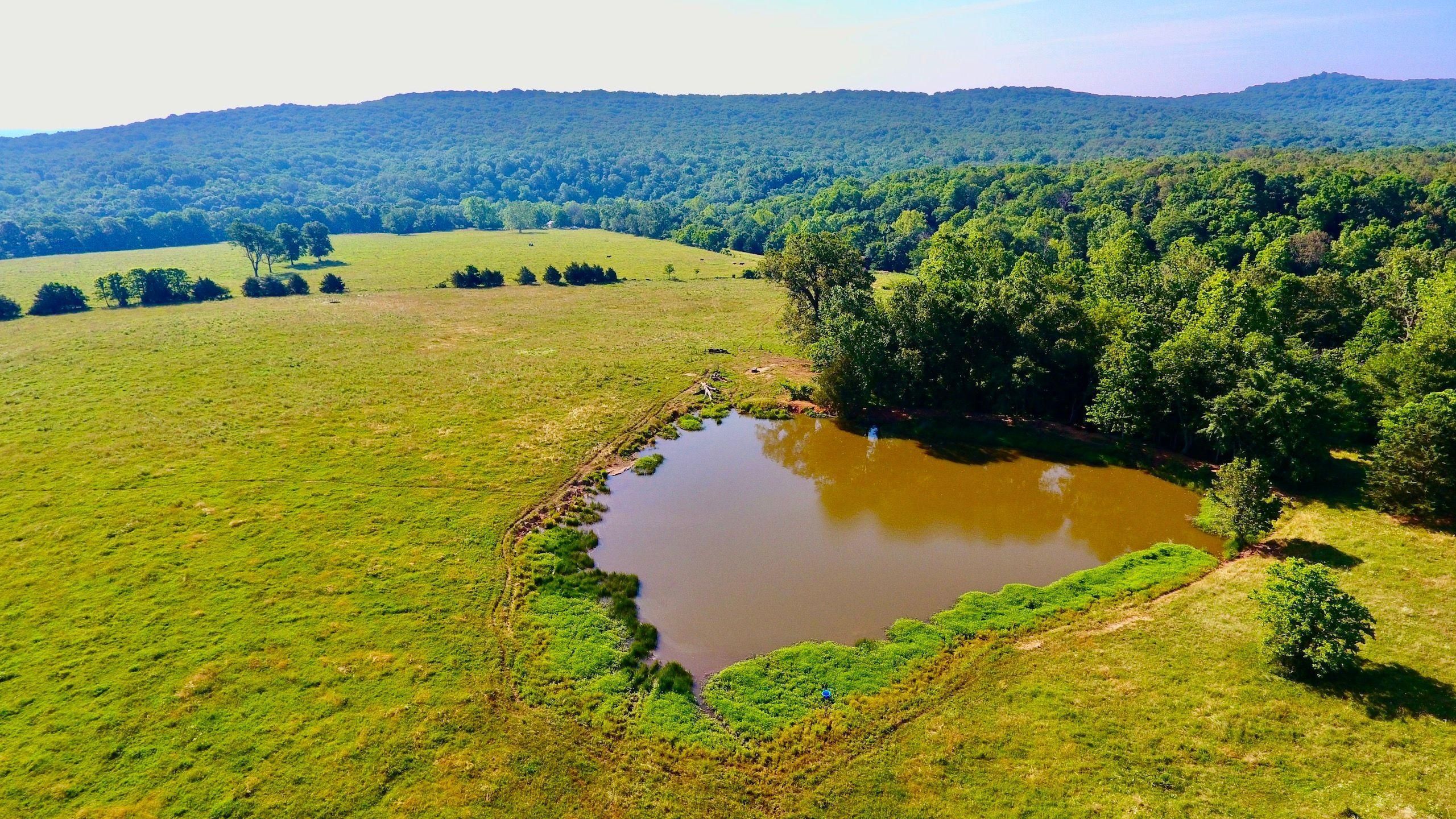 360 Acres, Parker Branch Road, LotWP001, West Fork, AR 72774 Land