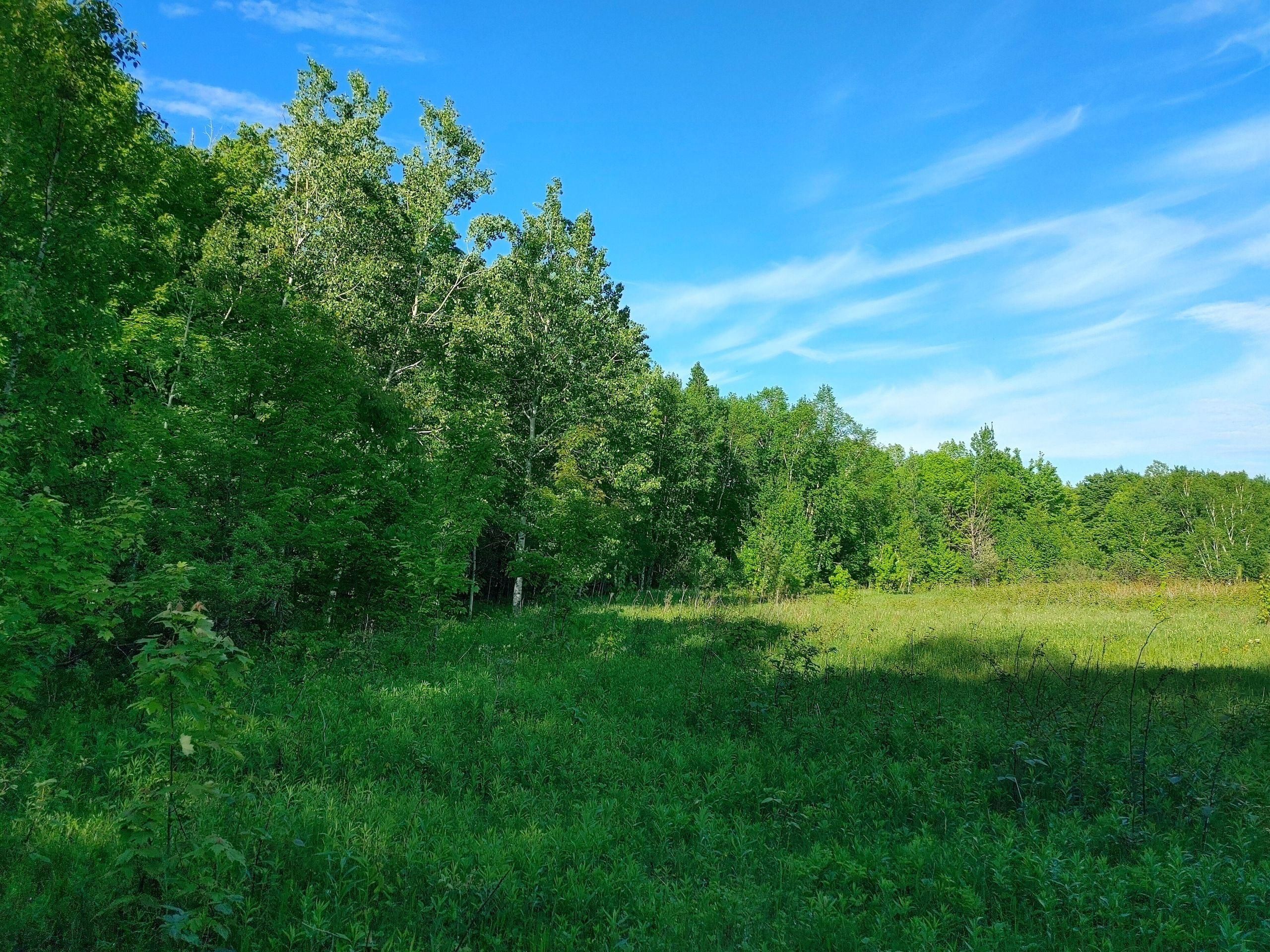 Harbor Drive, Saxon, WI 54559 Land and Farm