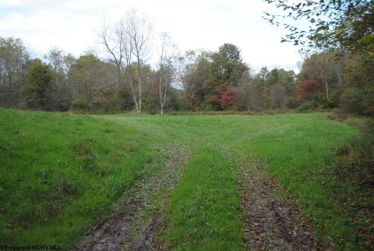 310 Acres, Pike, Belington, WV 26250 Land and Farm