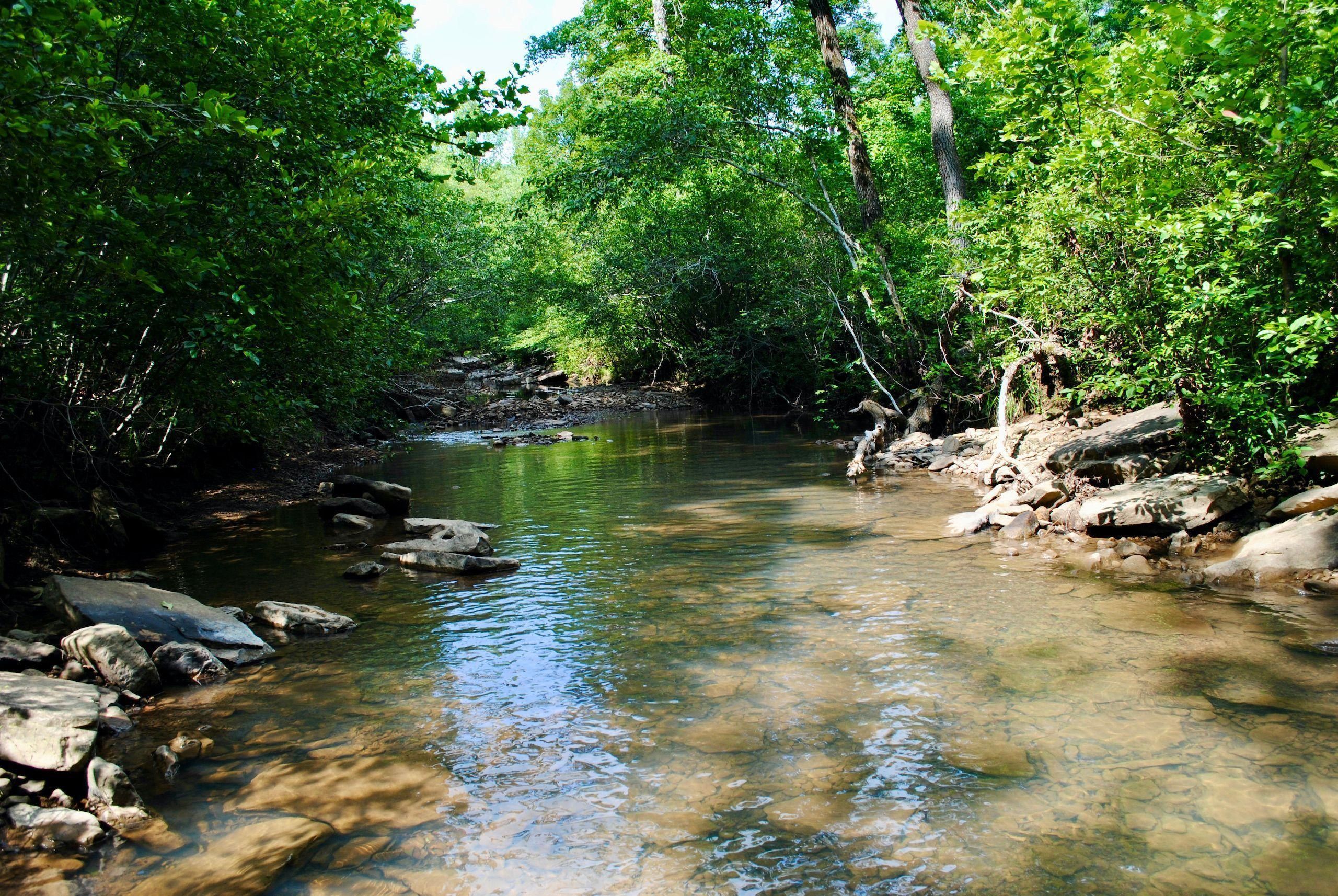 72.7 Acres, Ashwood Drive, Lot WP001, Clinton, AR 72031 Land and Farm