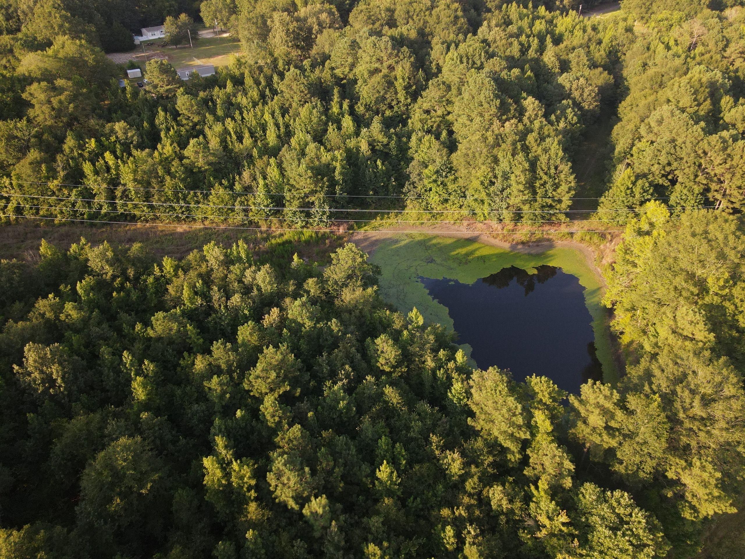 Shady Grove, Lot WP001, Norphlet, AR 71730 Land and Farm