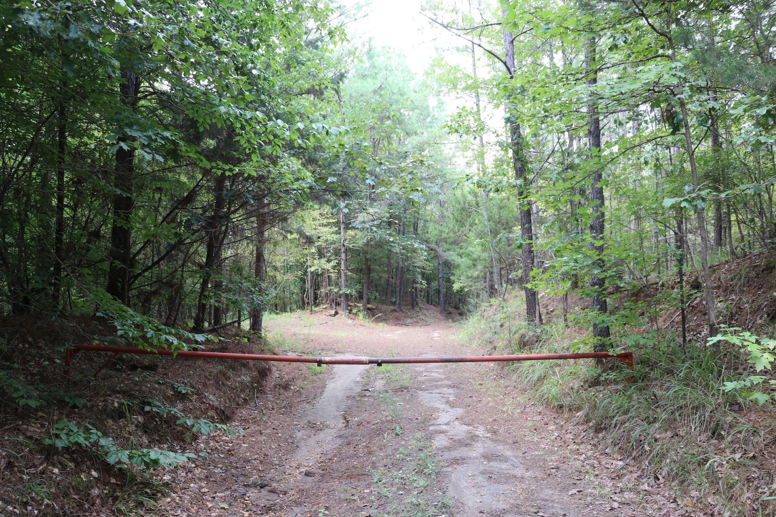 120 Acres, Rose Hill Road, LotWP001, Duck Hill, MS 38925 Land and Farm