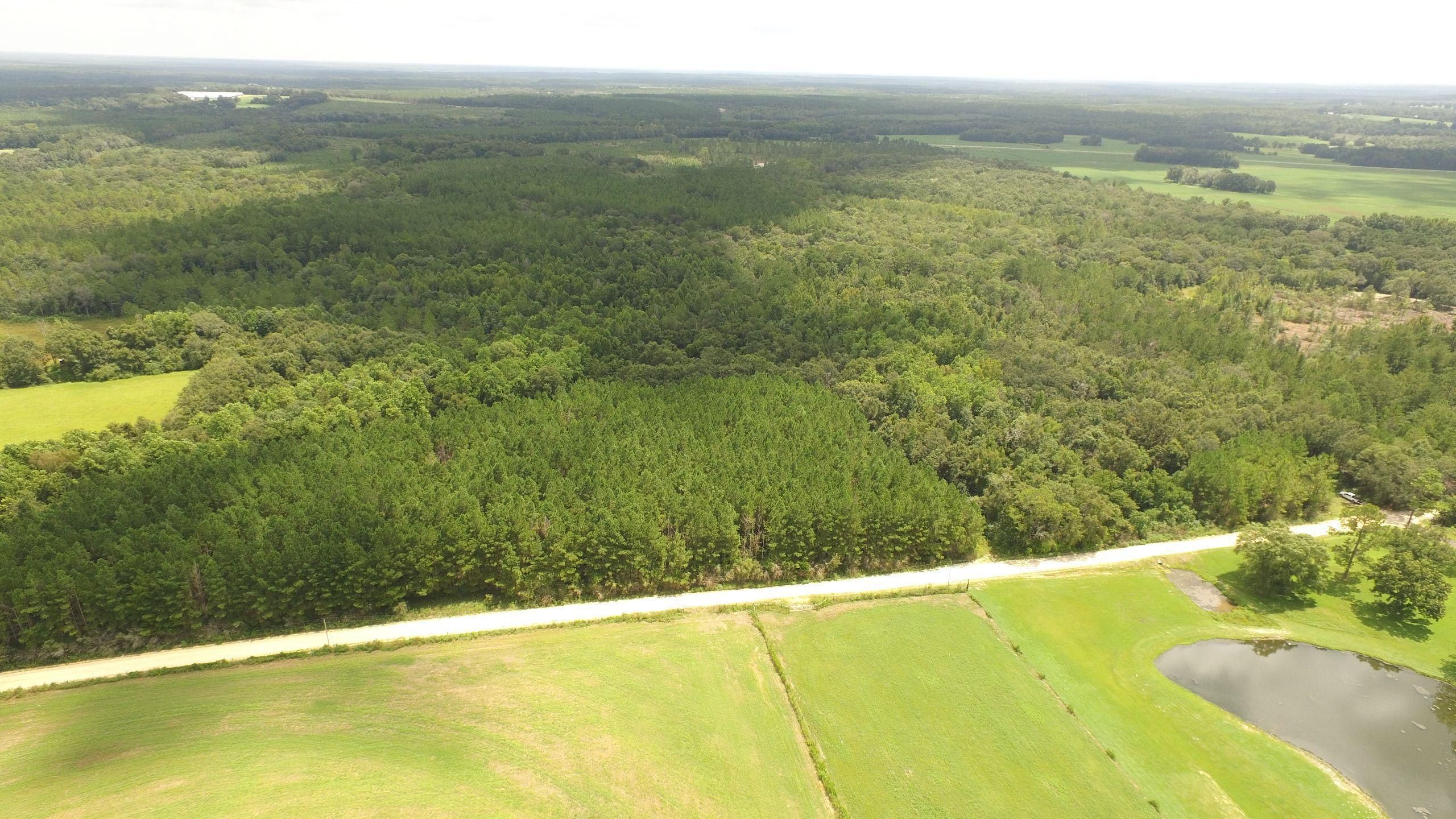 40 Acres, Eason Road, LotWP01, Florala, AL 36442 Land and Farm