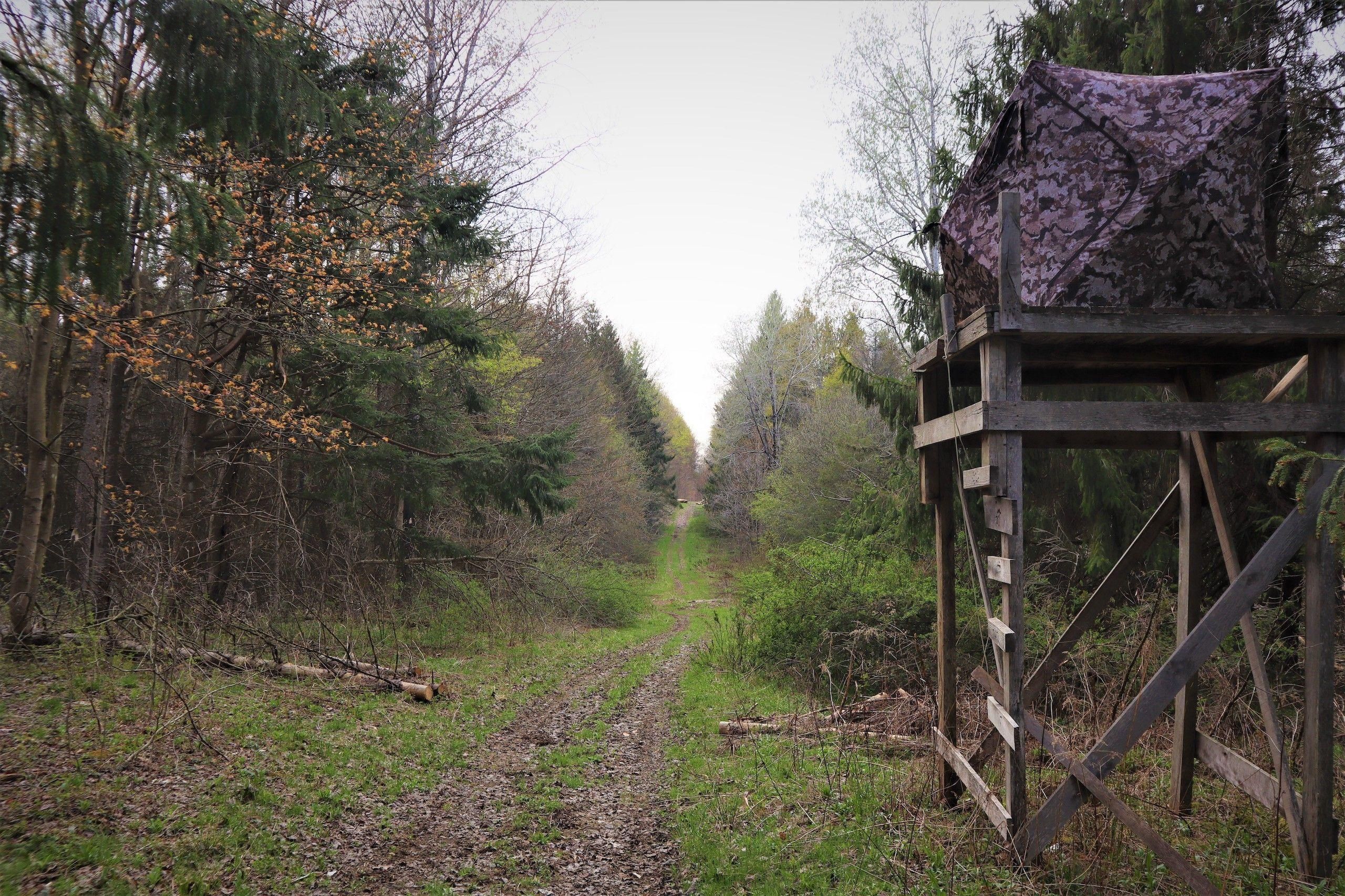 99 West, Lot WP003, Gerry, NY 14740 Land and Farm