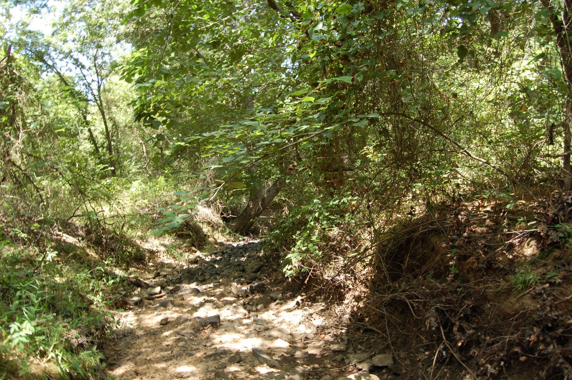 40 Acres, Skyview Rd, CR E 1750 Leigh, OK, Coalgate, OK Land and Farm