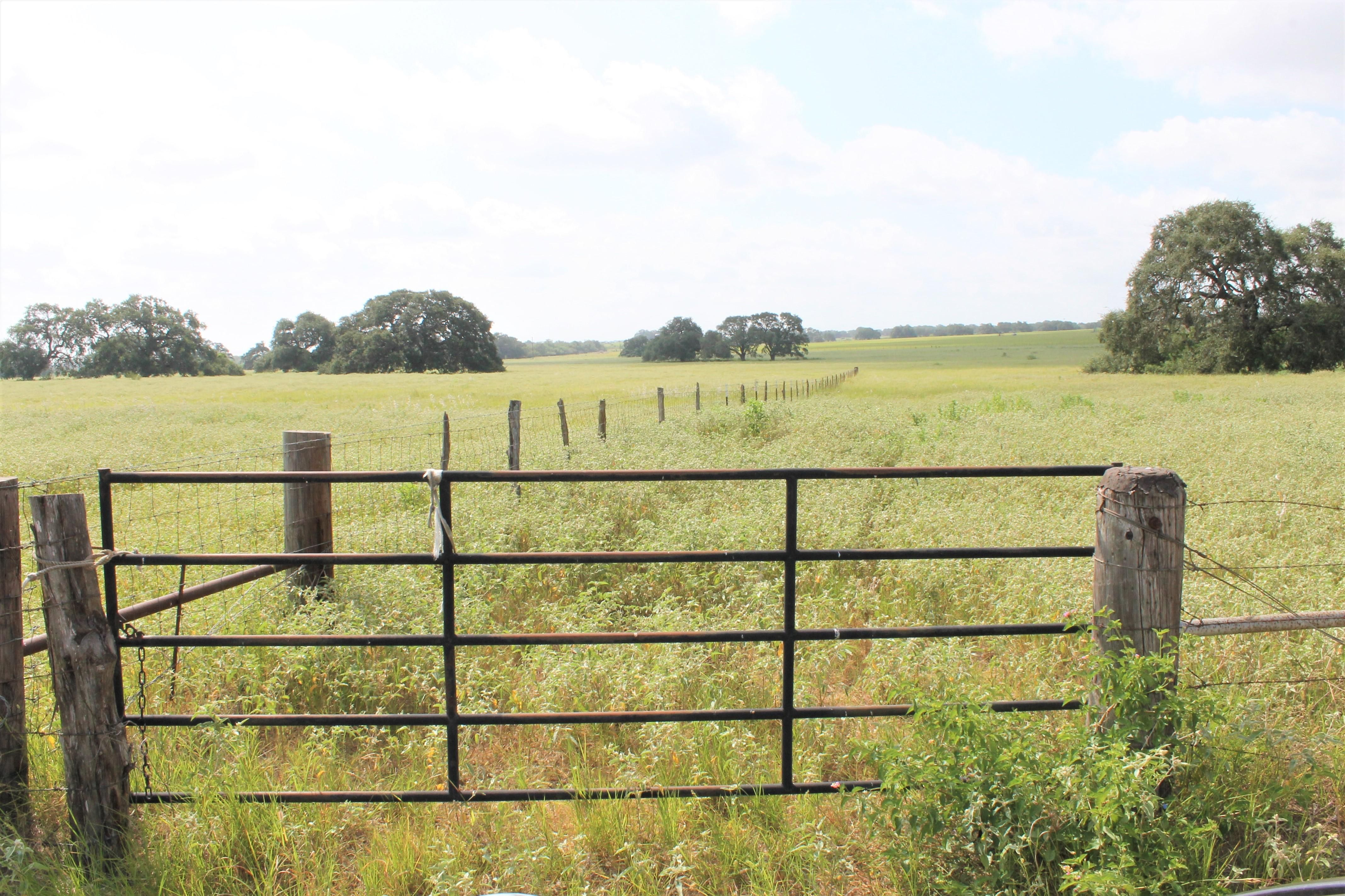 11.8 acres in Poteet, TX, 78065 Land and Farm