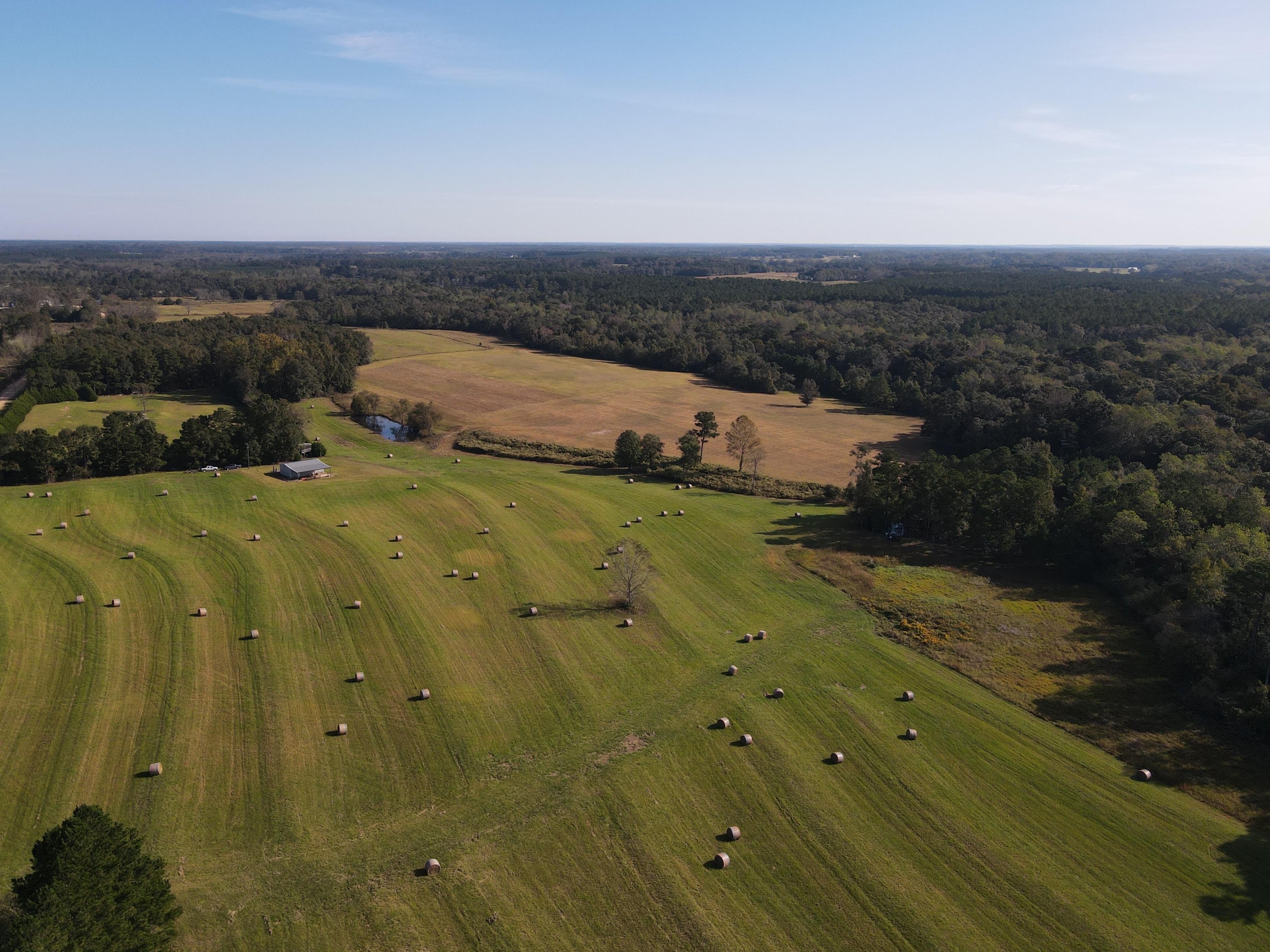 105 Acres, Grant Road, AL 36375 Land and Farm