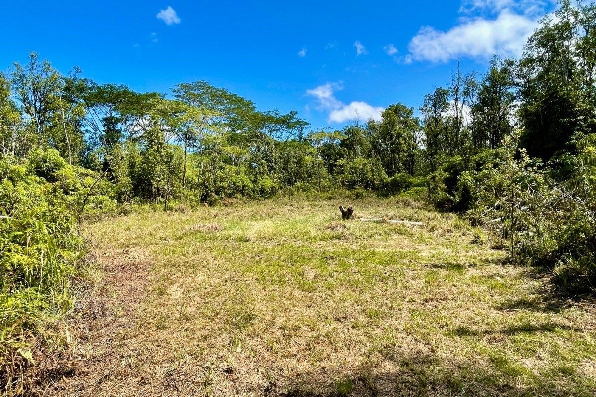 3 Acres, 161511 AO RD (ROAD 2), Mountain View, HI 96771 Land and Farm