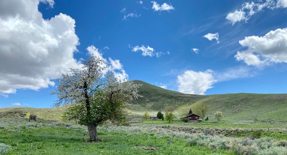 15,070 acres in Thermopolis, WY, 82443 Land and Farm