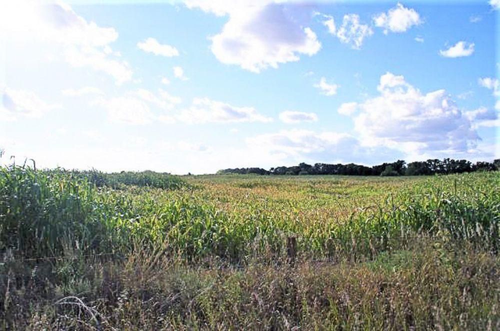 78 acres in Sargent, NE, Land and Farm