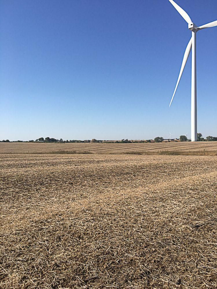 198.28 acres in Deep River, IA, Land and Farm