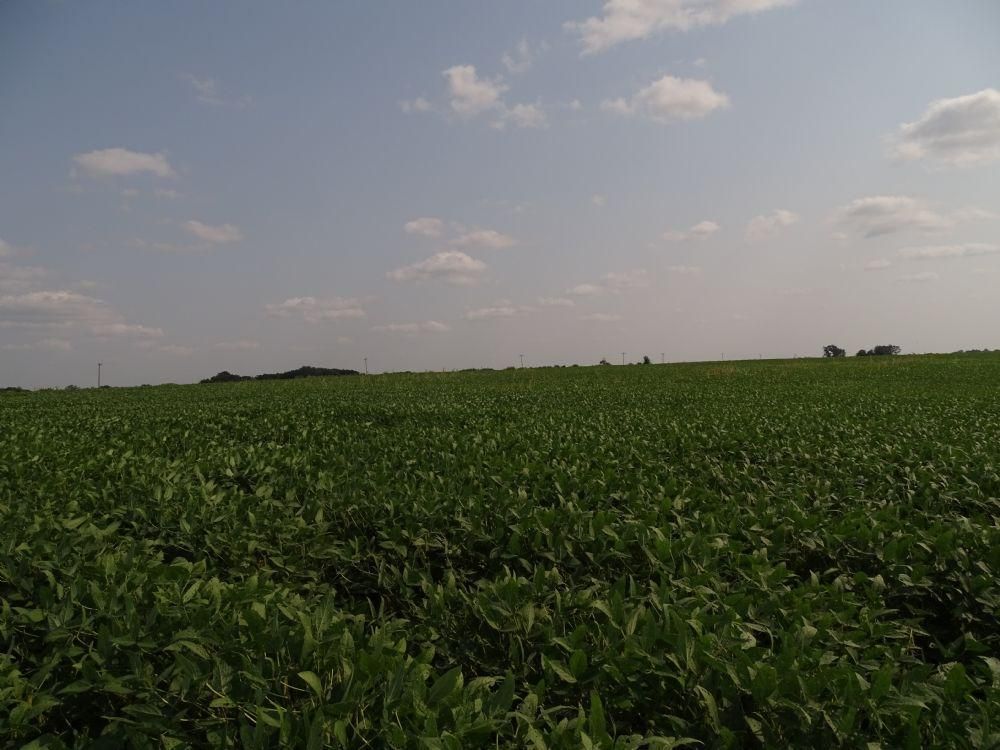 84.21 Acres, Keota, IA Land and Farm