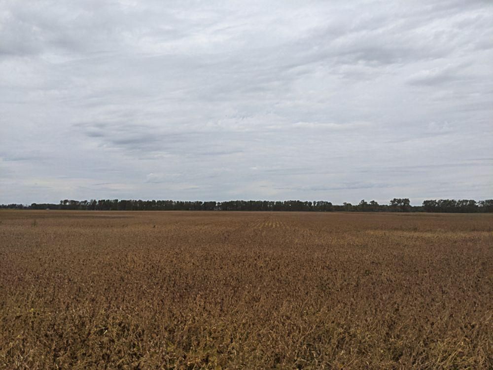 160 Acres, Larimore, ND Land and Farm