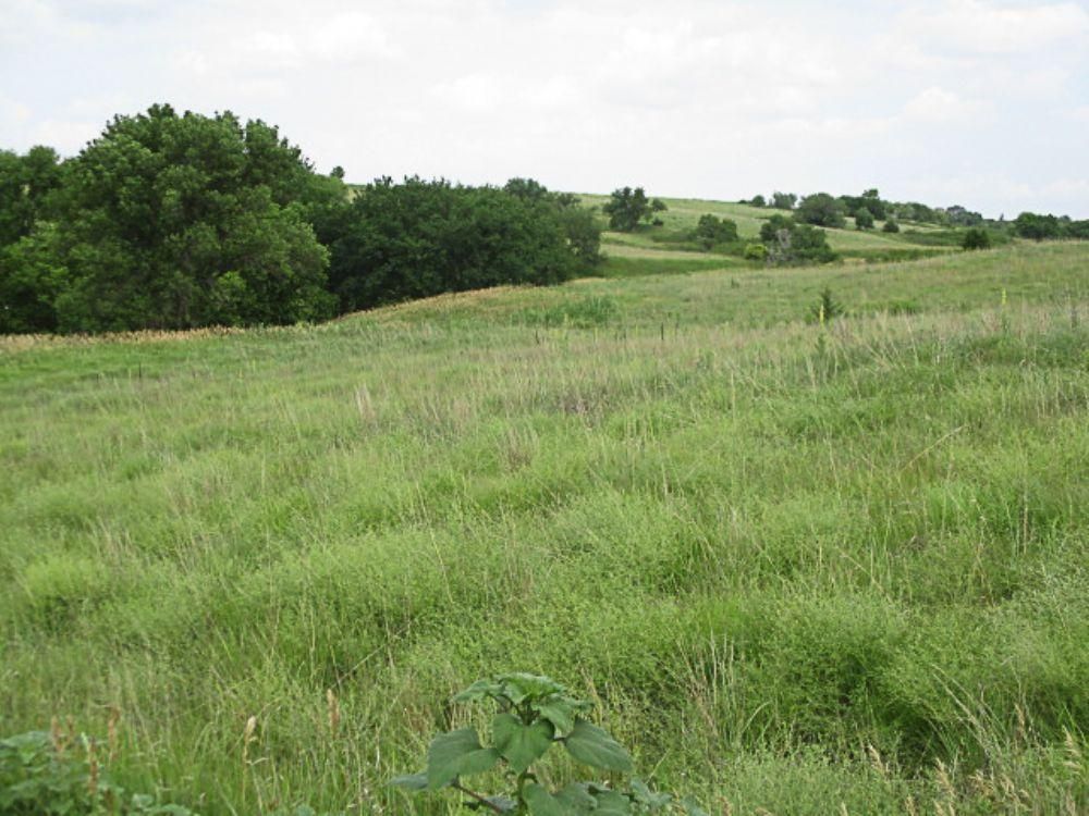 109 Acres, Beaver City, NE Land and Farm