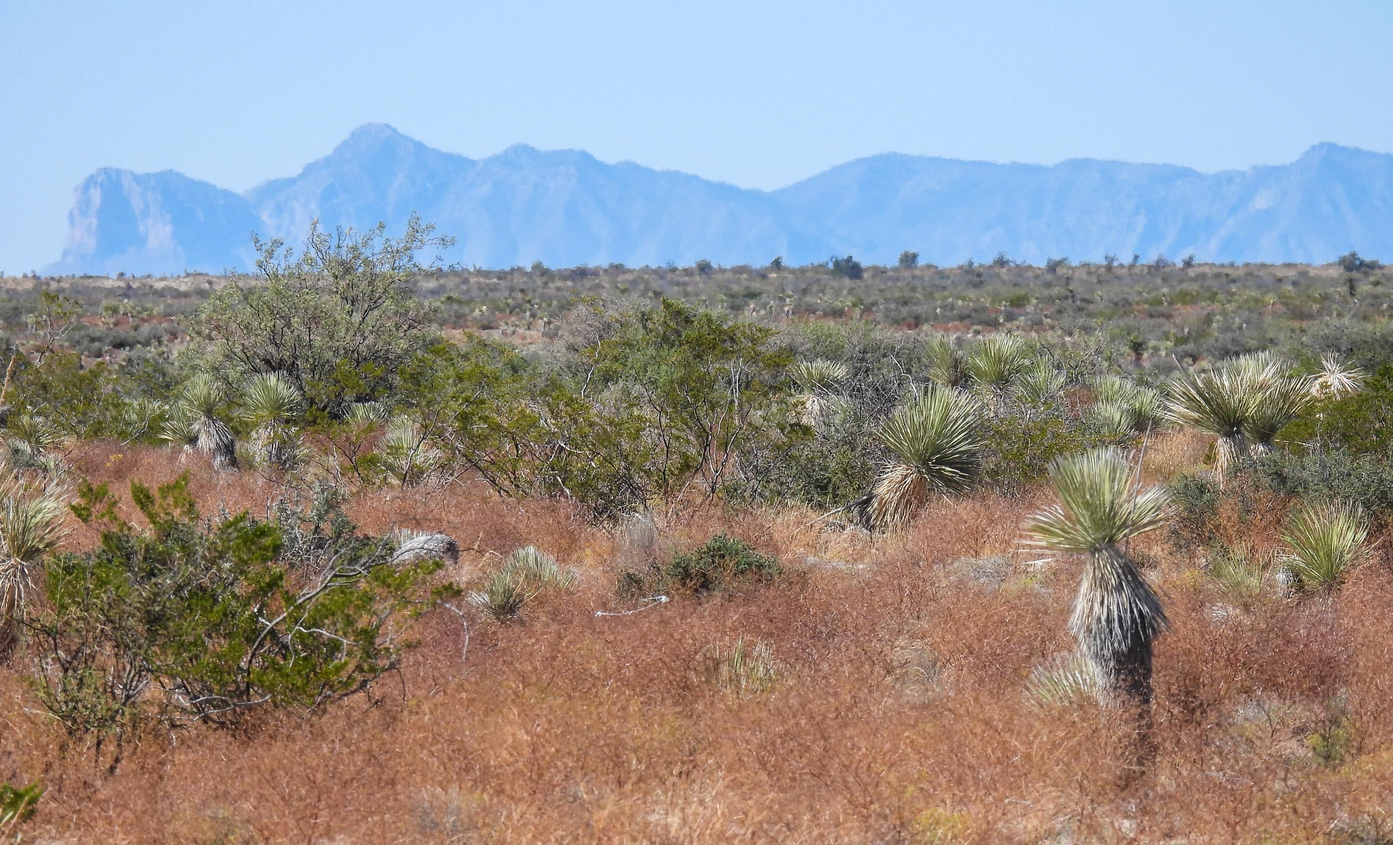 20,335 Acres, Van Horn, TX 79855 Land and Farm