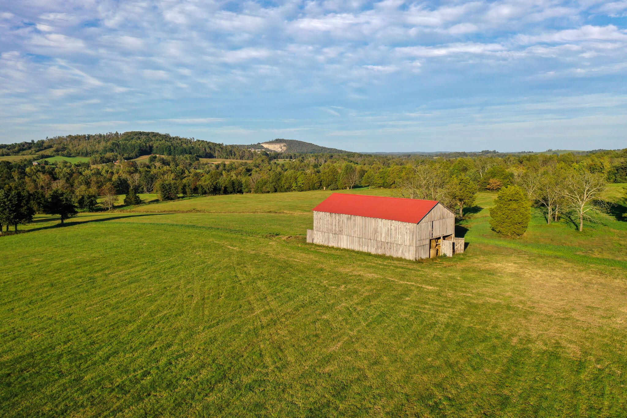 96 Acres, 239 Dog Trot Rd, Liberty, KY 42539 Land and Farm