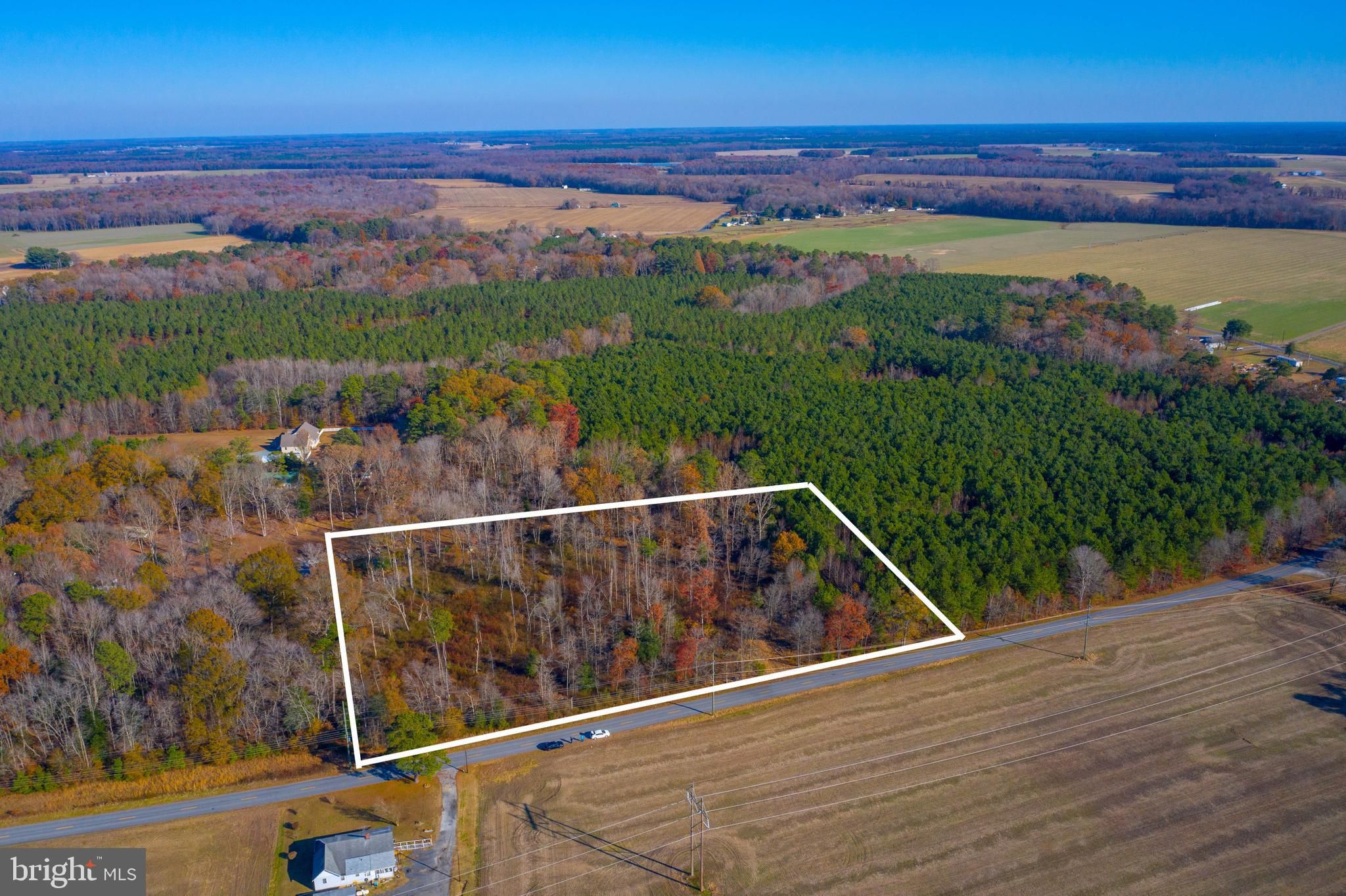 3 Acres, PEARSON ROAD, Denton, MD 21629 Land and Farm