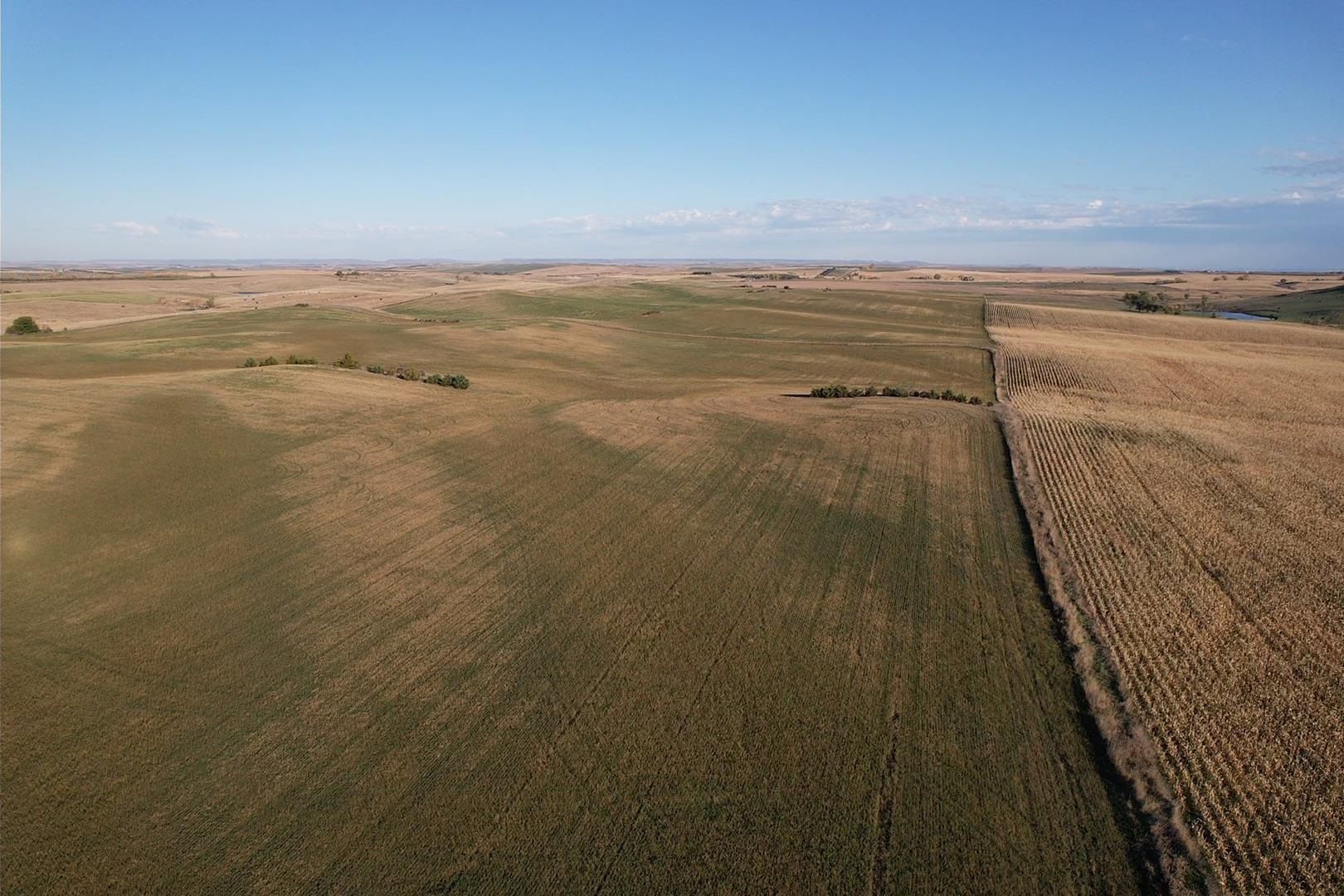 40 Acres, TBD Gregory 101st Street, Gregory, SD 57533 Land and Farm