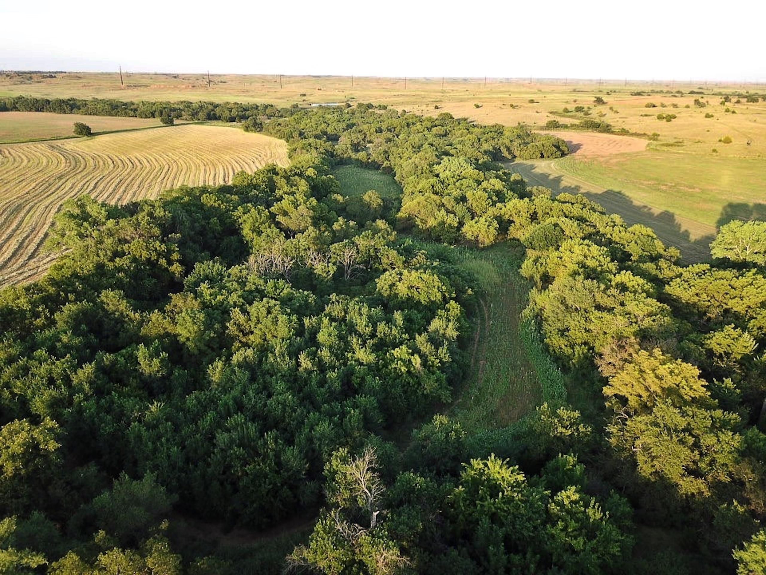 NW Mulberry Creek Road, Lot WP001, Sun City, KS 67143 Land and Farm