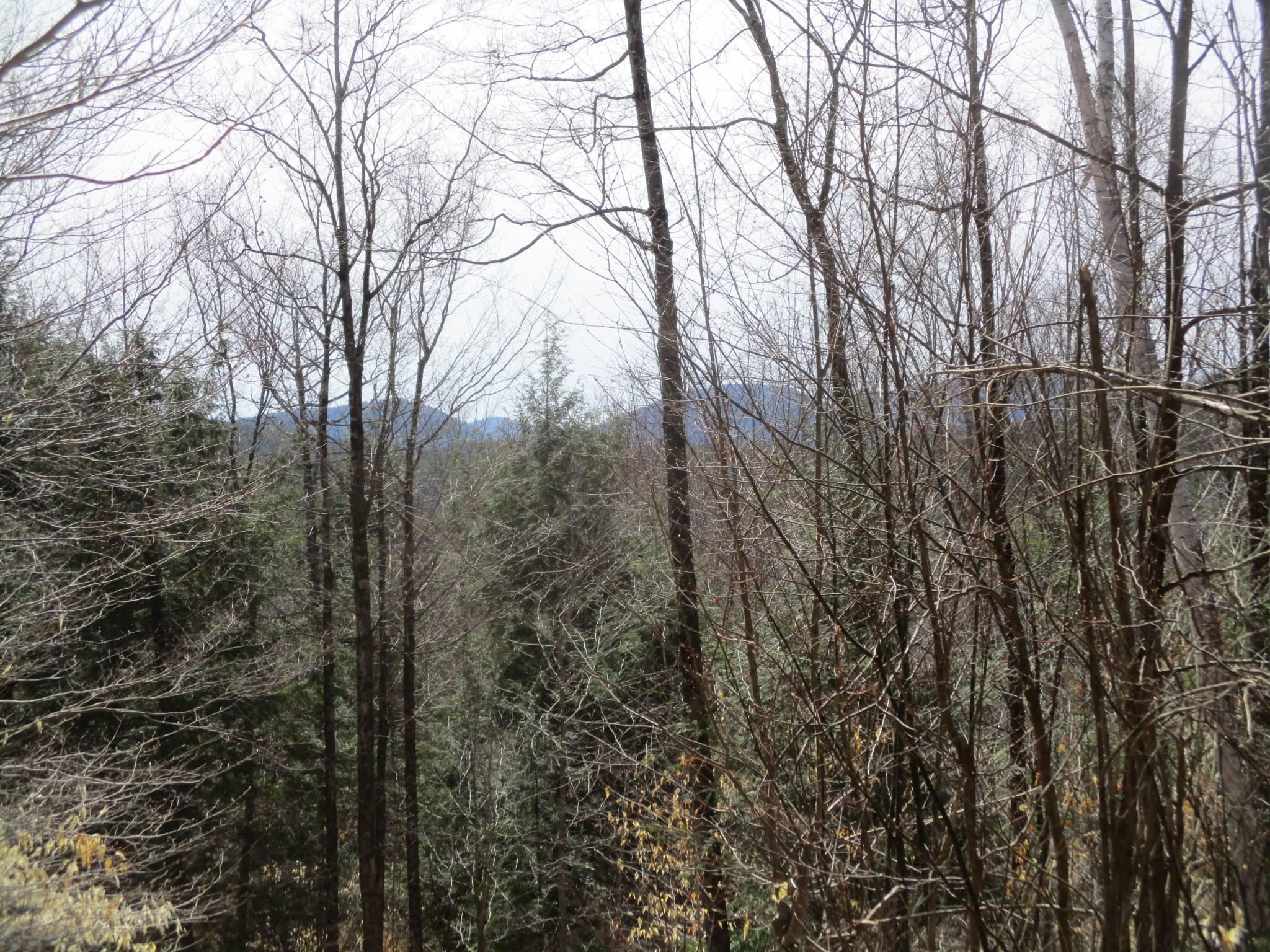 45 Valley Road, Thurman, NY 12810 Land and Farm