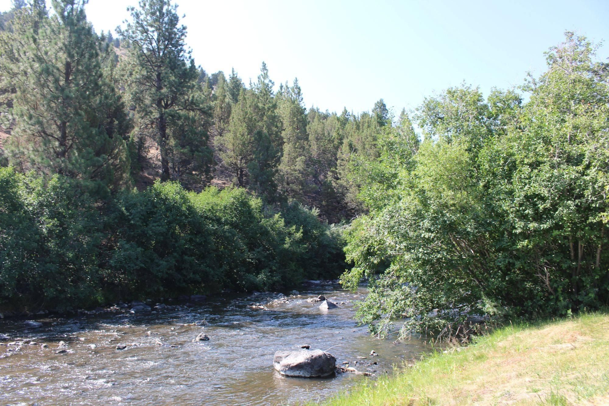 County Hwy 208, Paisley, OR 97636 Land and Farm
