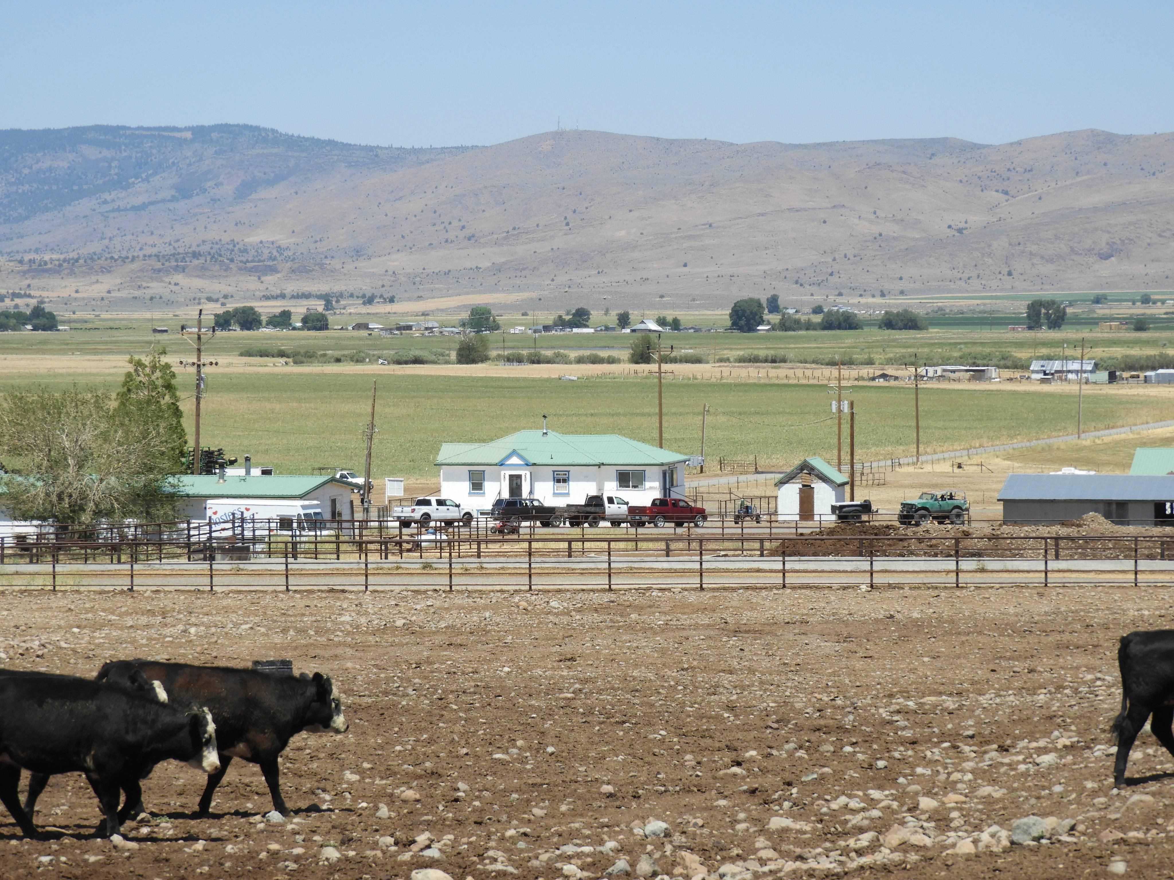 470100 Buffum Lane, Susanville, CA 96130 Land and Farm