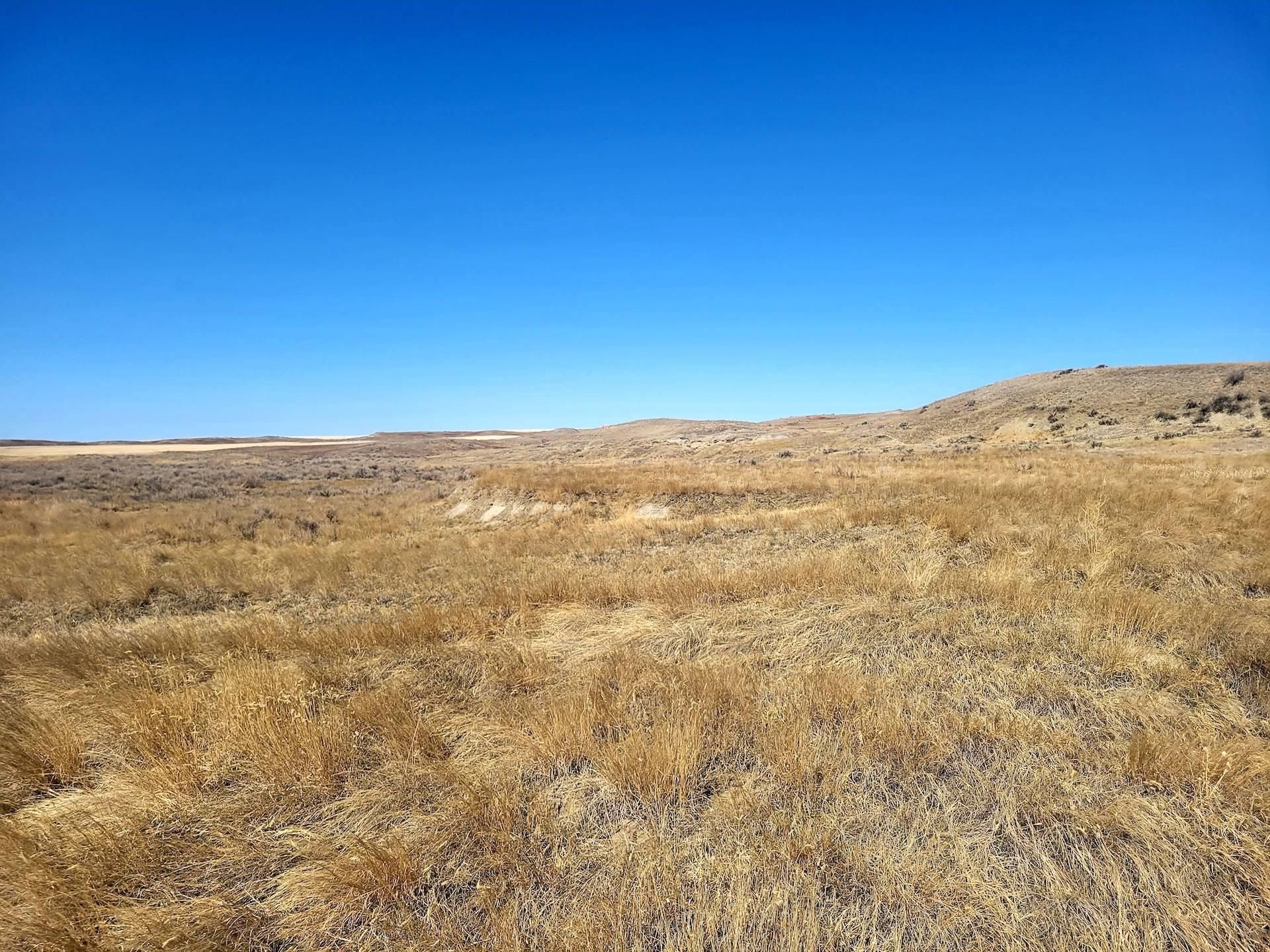 80 Acres, Nhn Nickwall Rd, Vida, MT 59274 Land and Farm