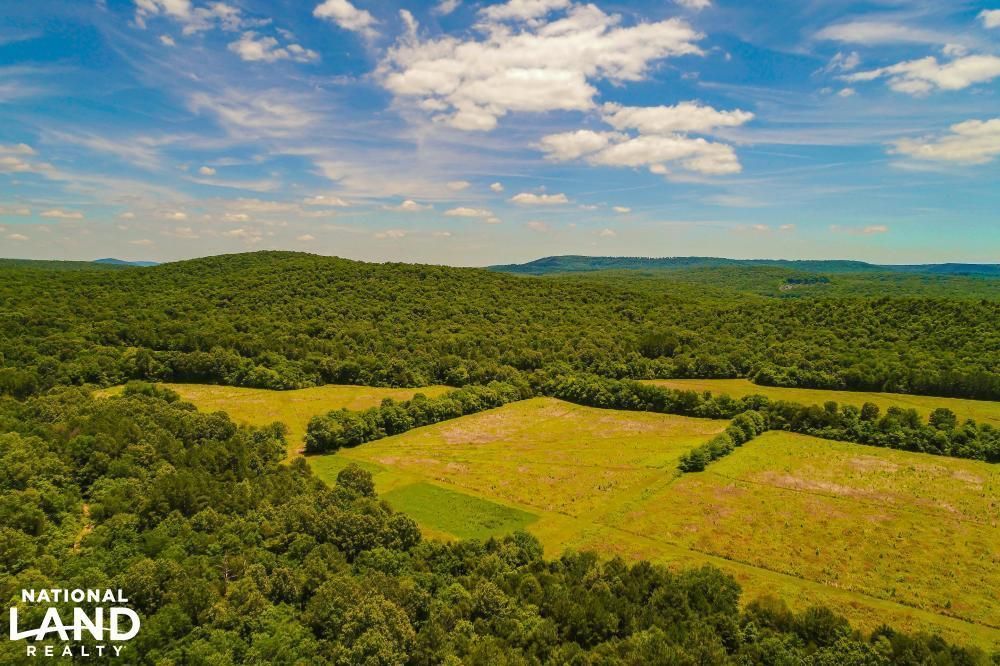 695 Acres, 0 Co Rd 8, Woodville, AL 35776 Land and Farm