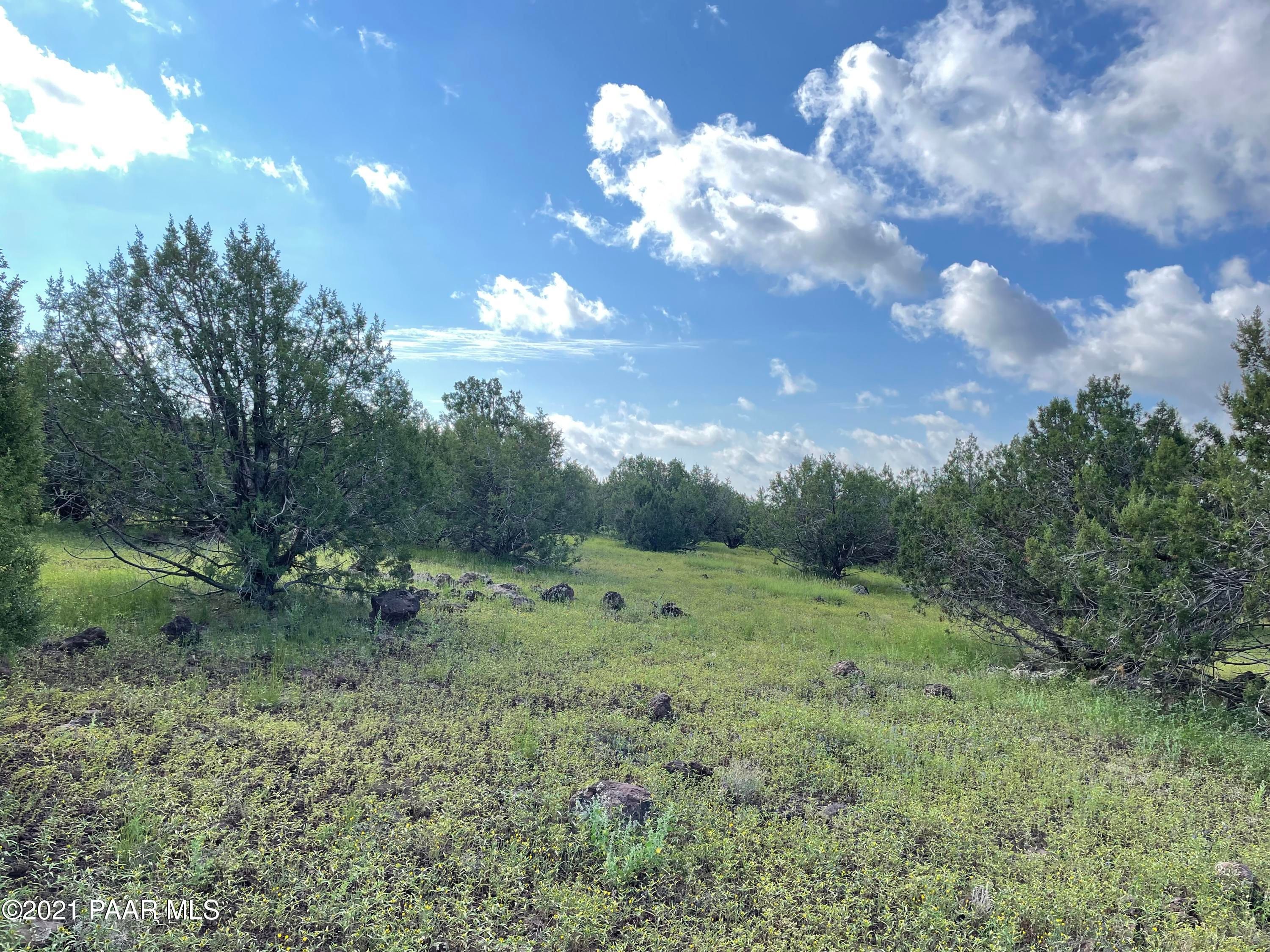 82 Juniperwood Ranch, Ash Fork, AZ 86320 MLS 1041504 Land and Farm
