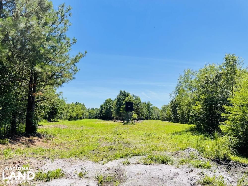 HWY 211, Lumberton, NC 28358 Land and Farm