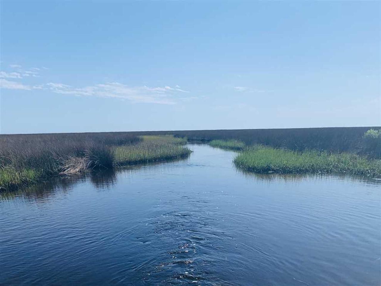 Yates Creek Road, Perry, FL 32348 Land and Farm