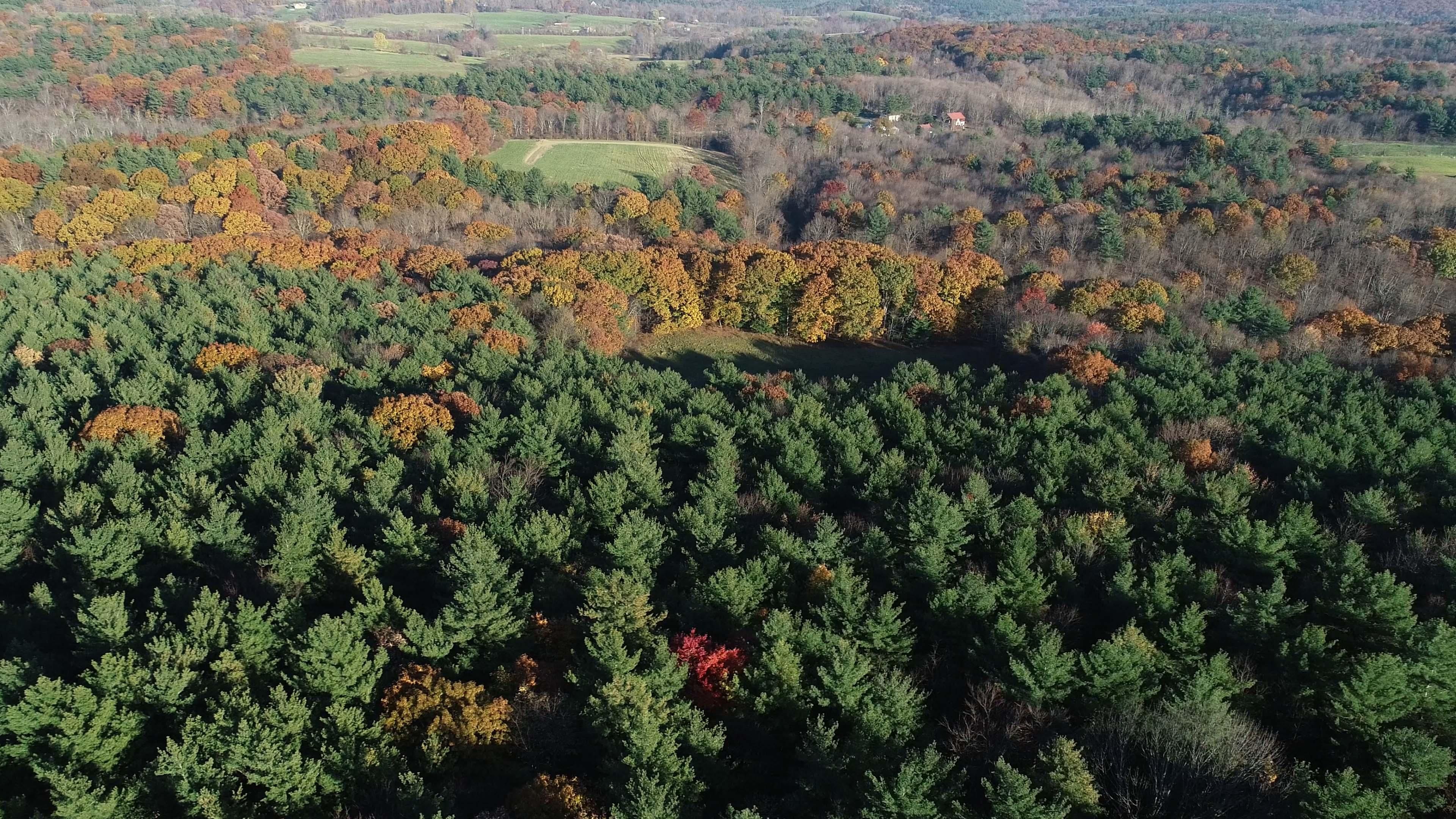 138 Acres, 75 Malden Bridge Road, Nassau, NY 12123 Land and Farm